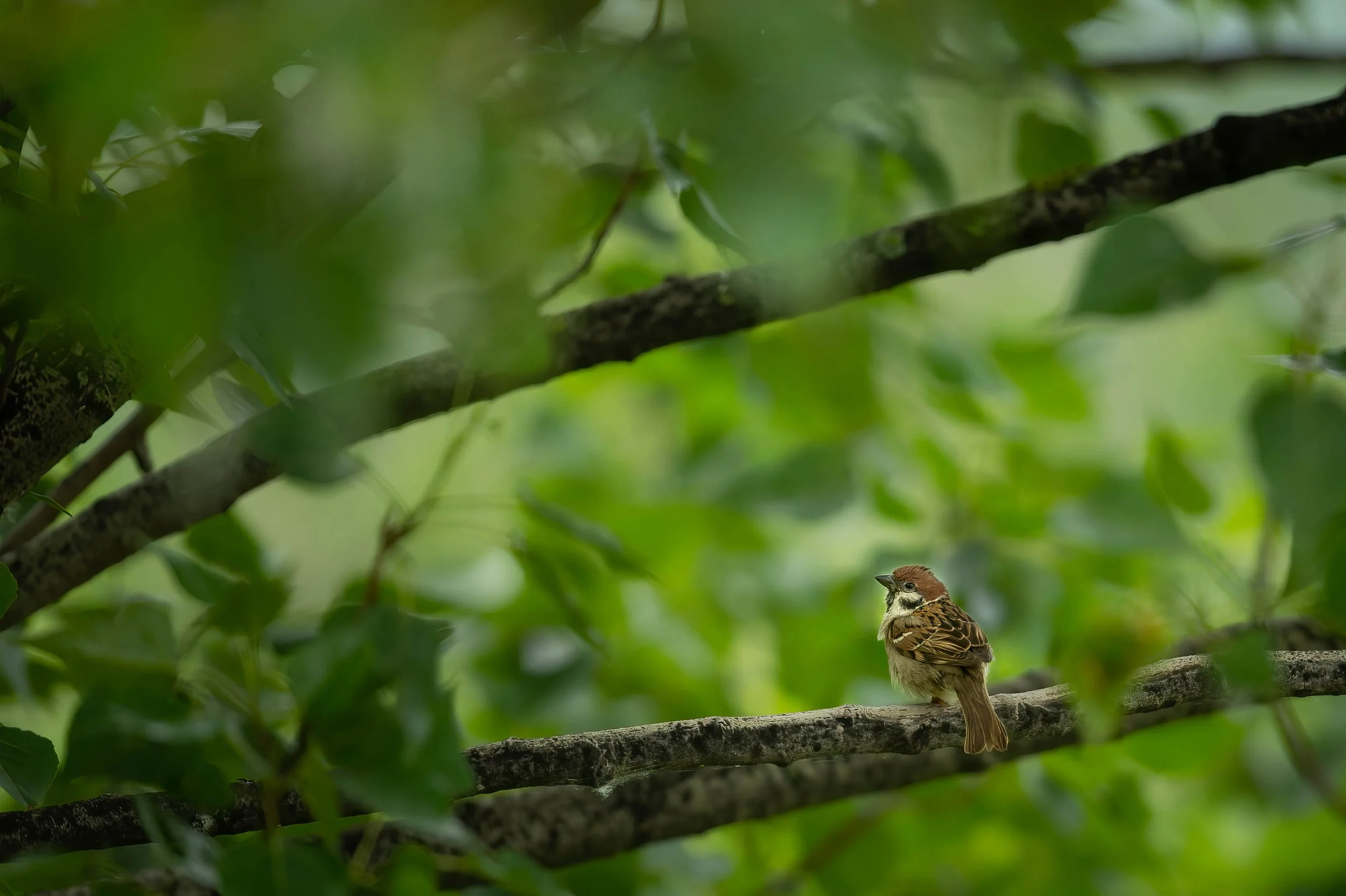 _ND41083-Edit.jpg