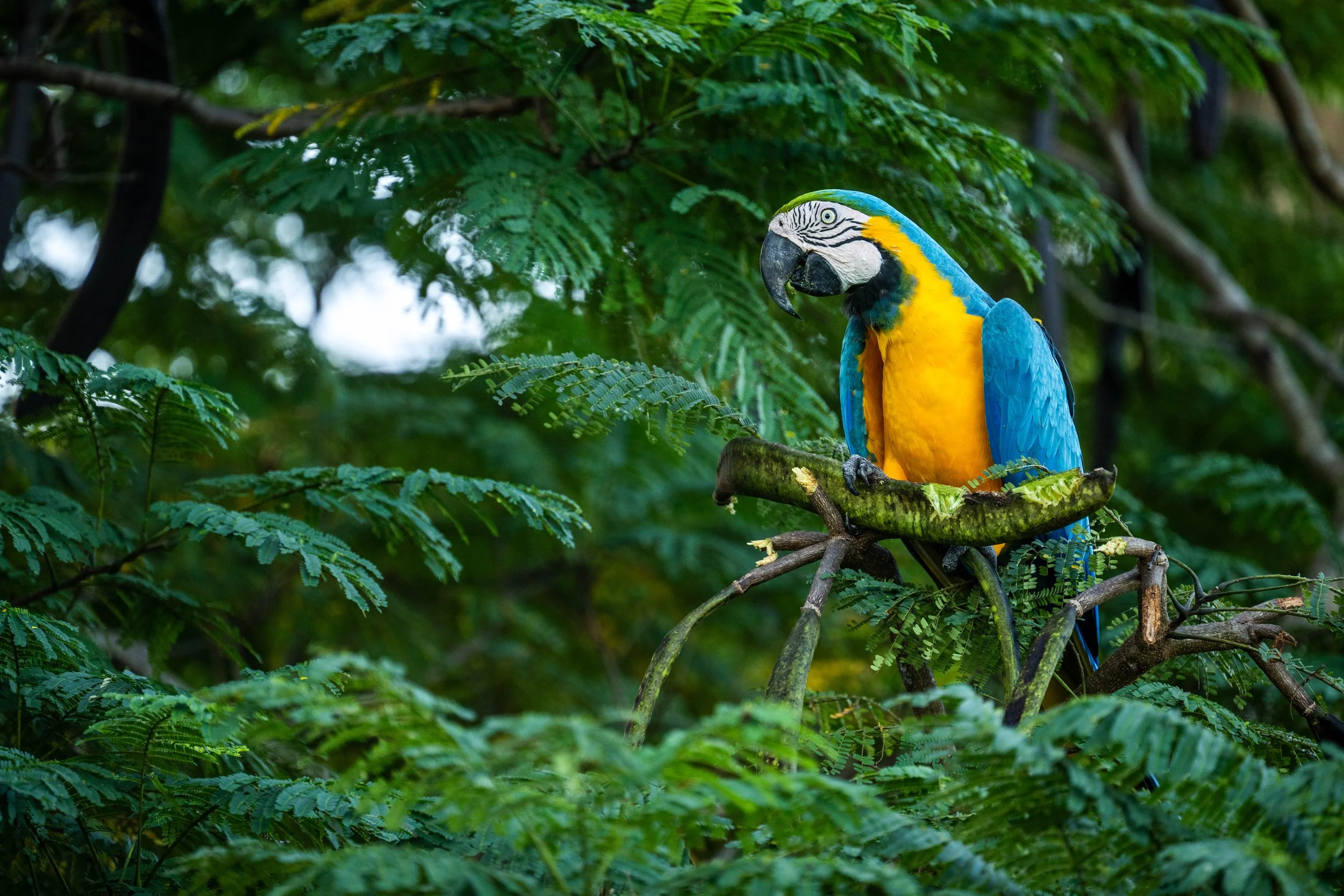 _DSC6569.jpg