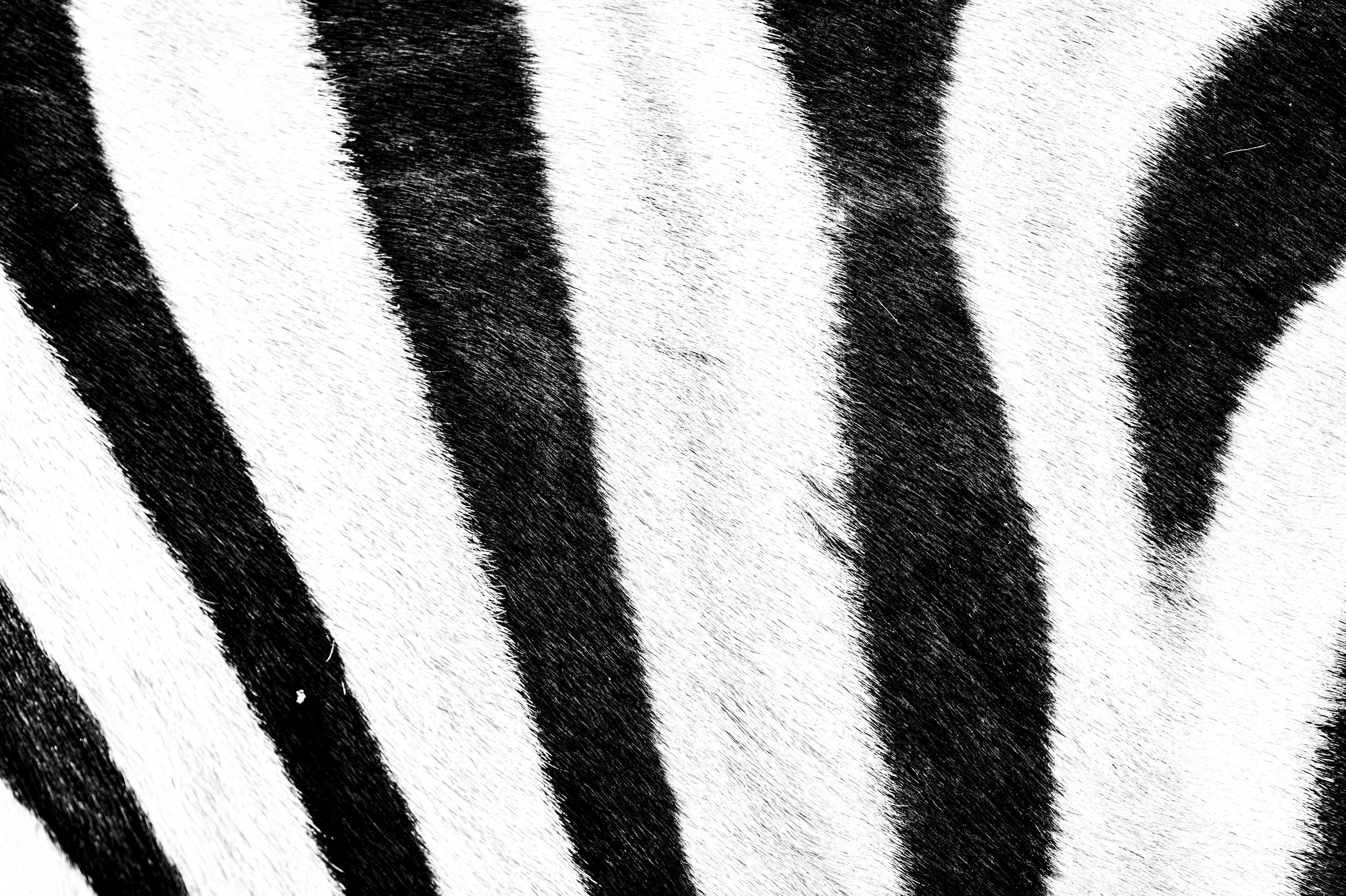 _DSC3436.jpg