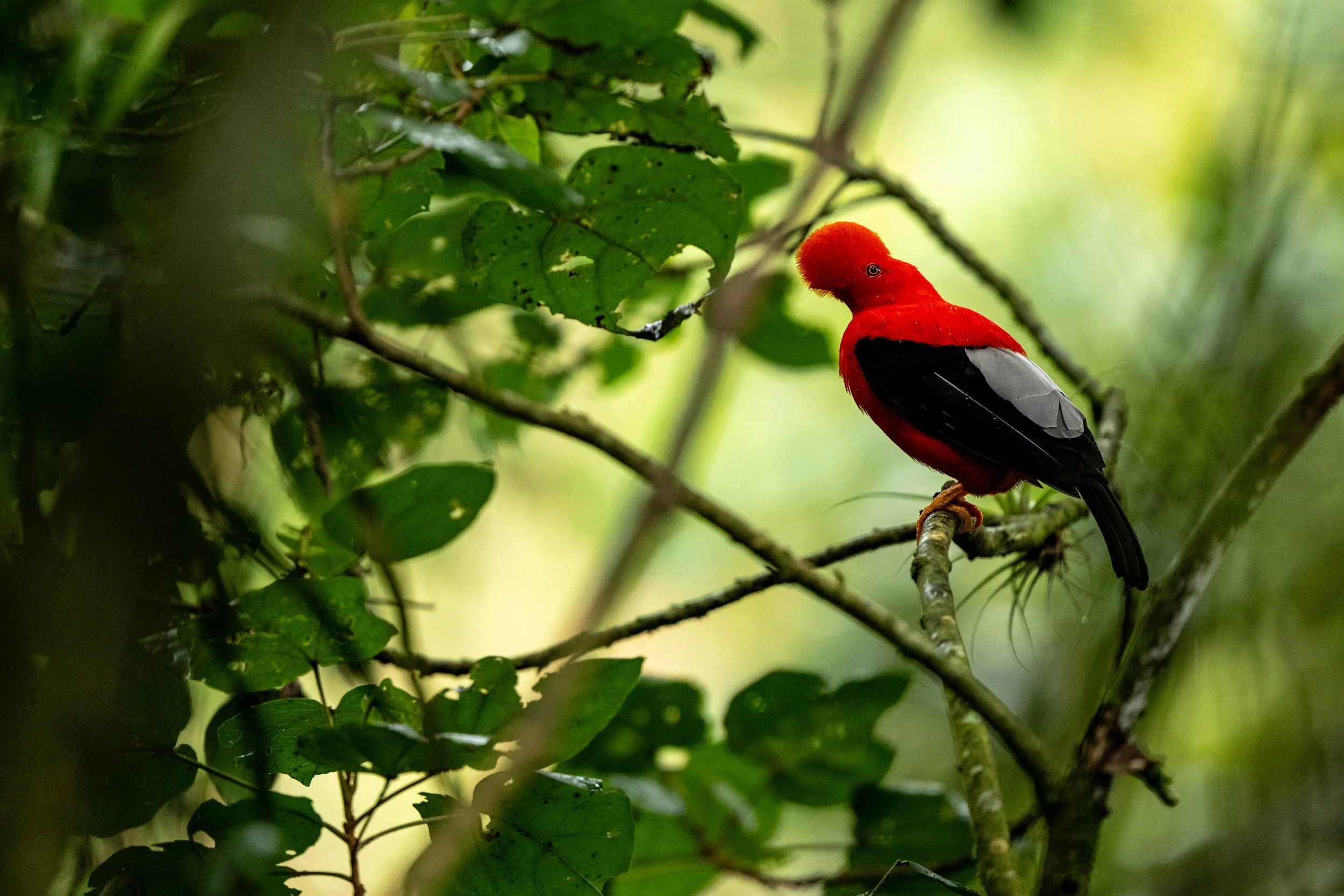 _DSC8899.jpg