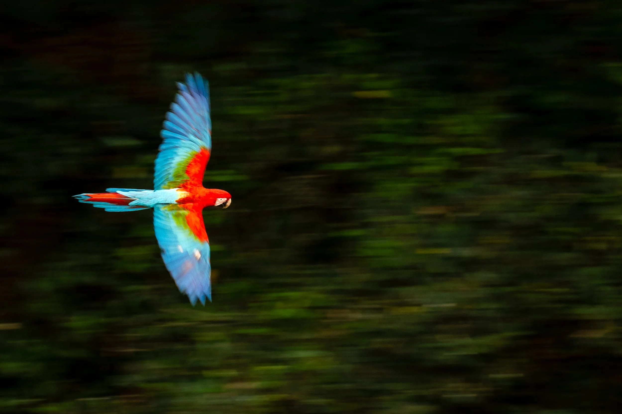DSC_2172.jpg