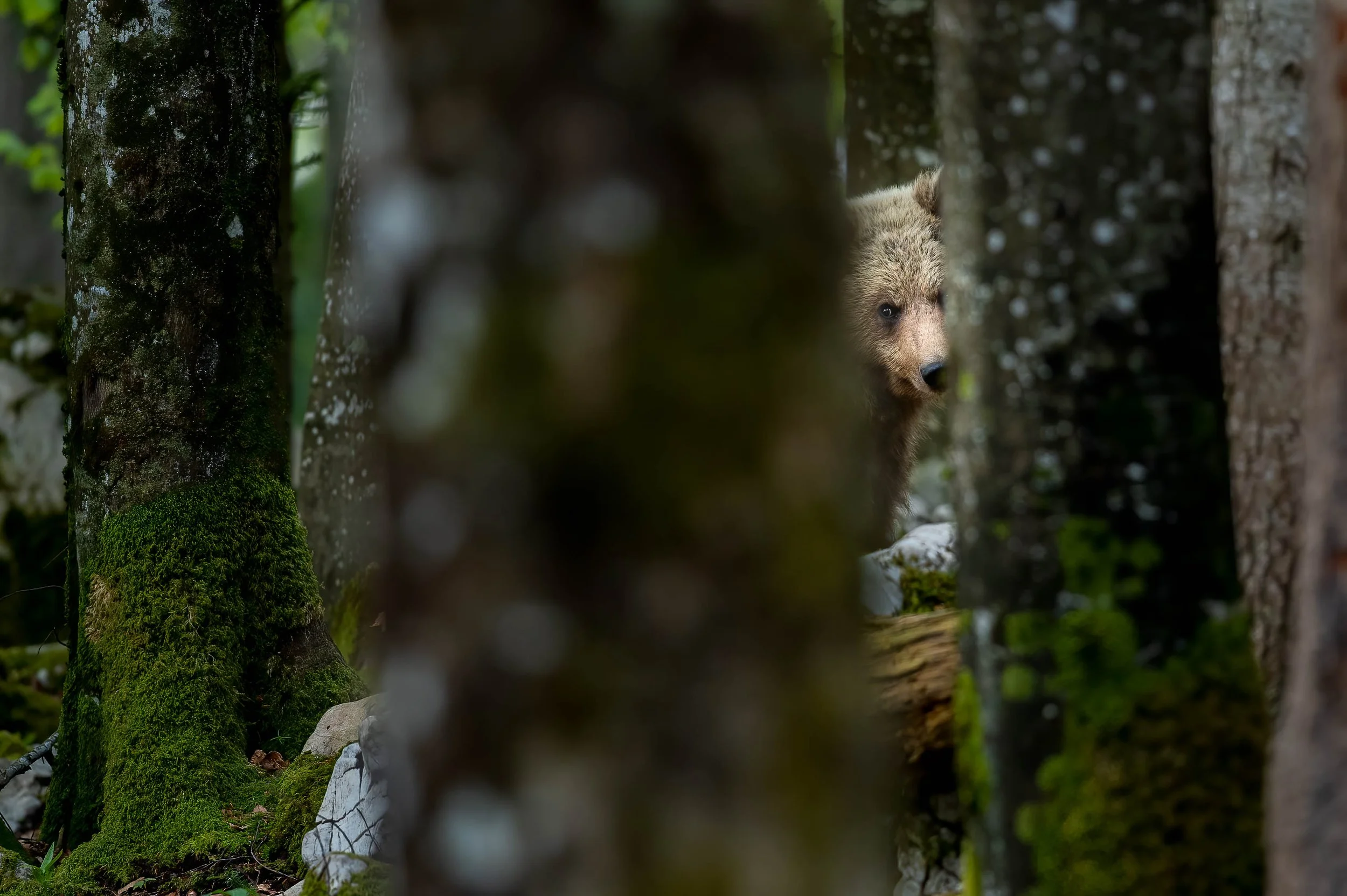 _ND40979-Edit.jpg