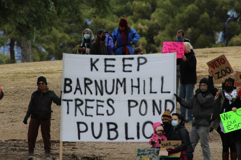 Keep Barnum Hill Trees Pond Public.jpg