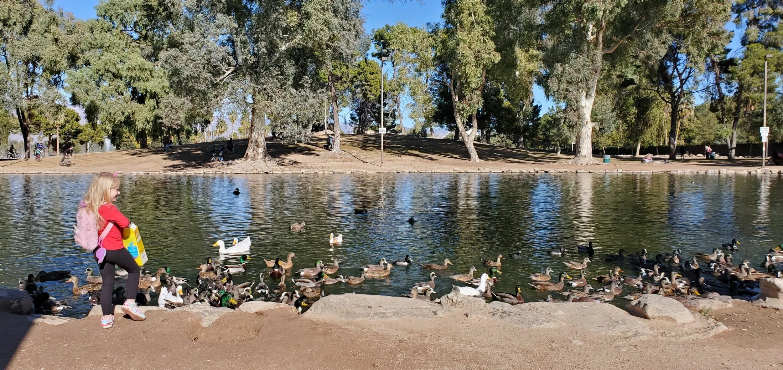 Gitrl-at-duck-pond-Reid-Park-scaled.jpg