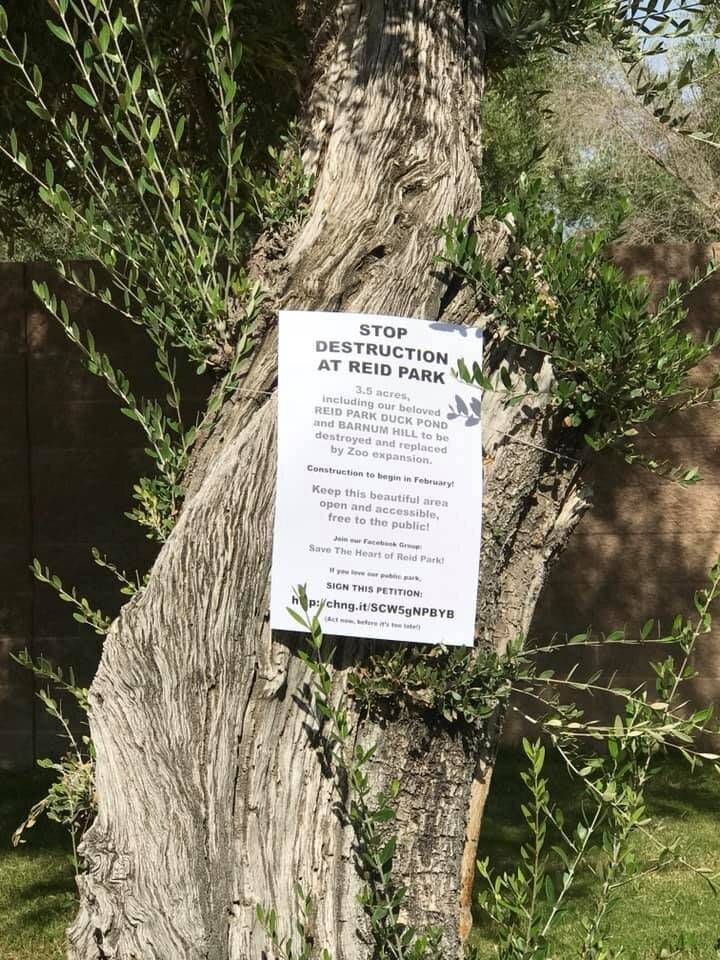 ingvi-poster-on-tree.jpg