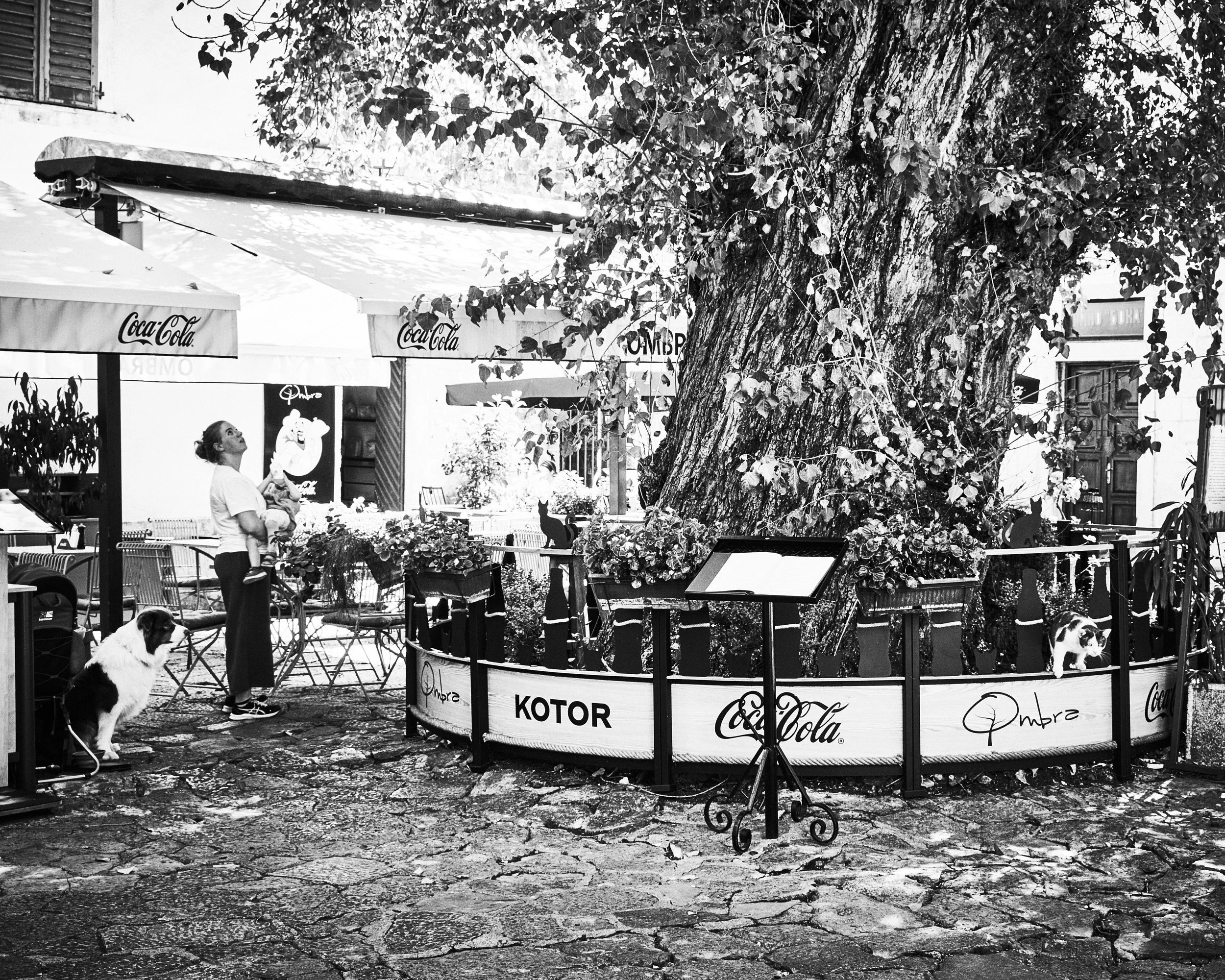 PortonoviBoatExcursionKotor01