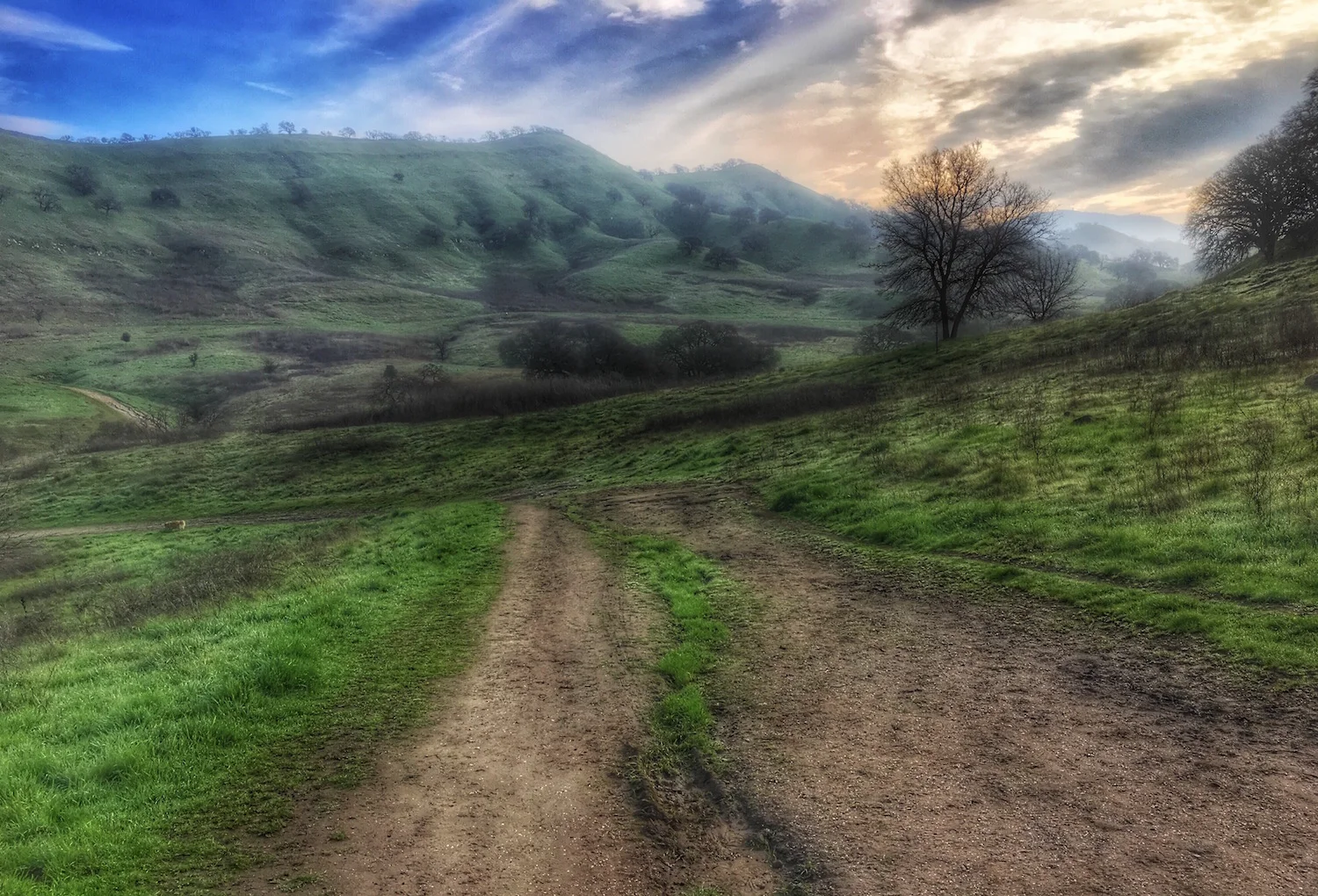 hills.jpg