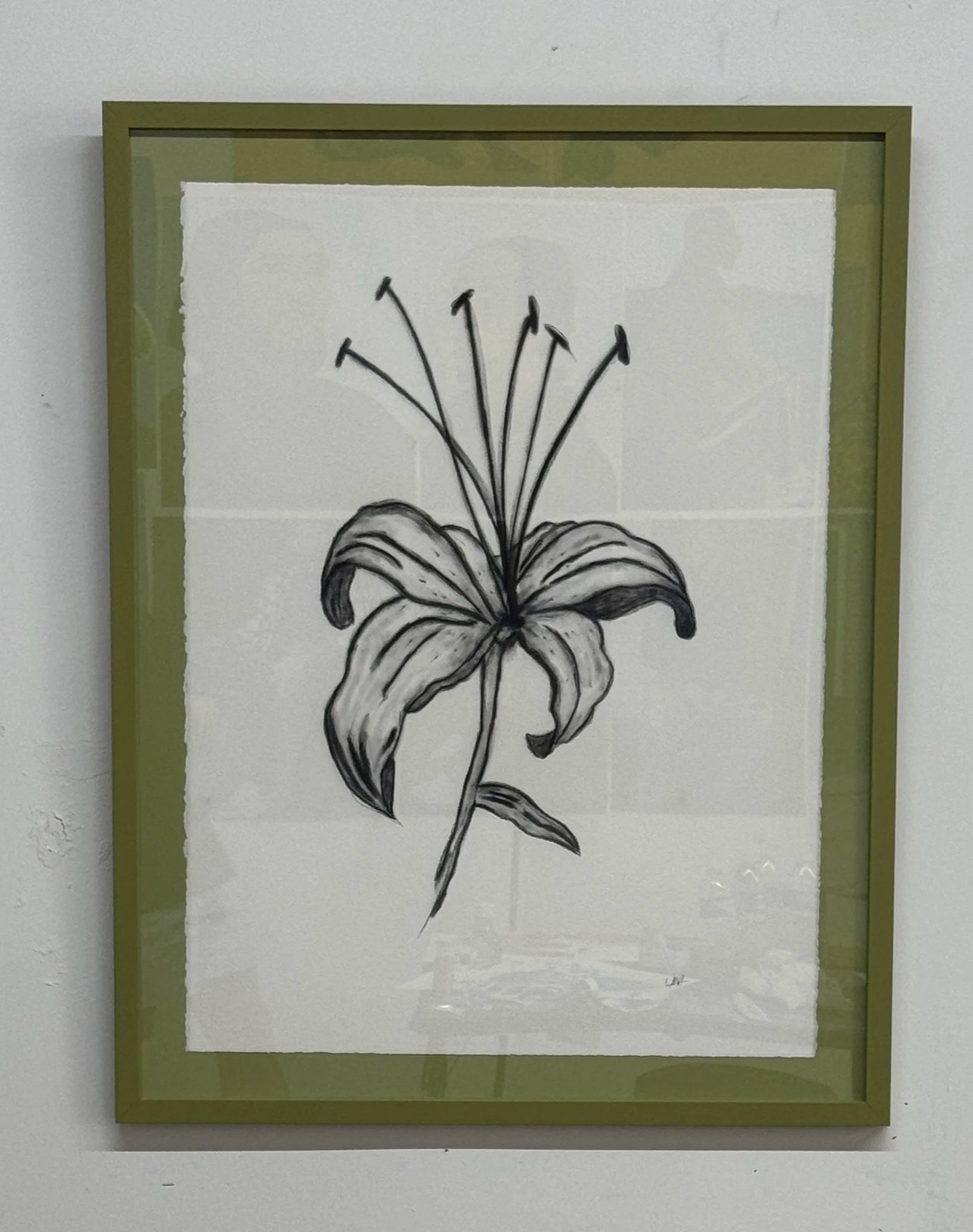 From the Backyard #2