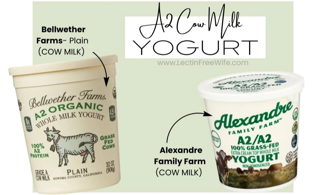 25 Yogurts You Need Keto Yogurt Shoppers Guide — Lectinfree and