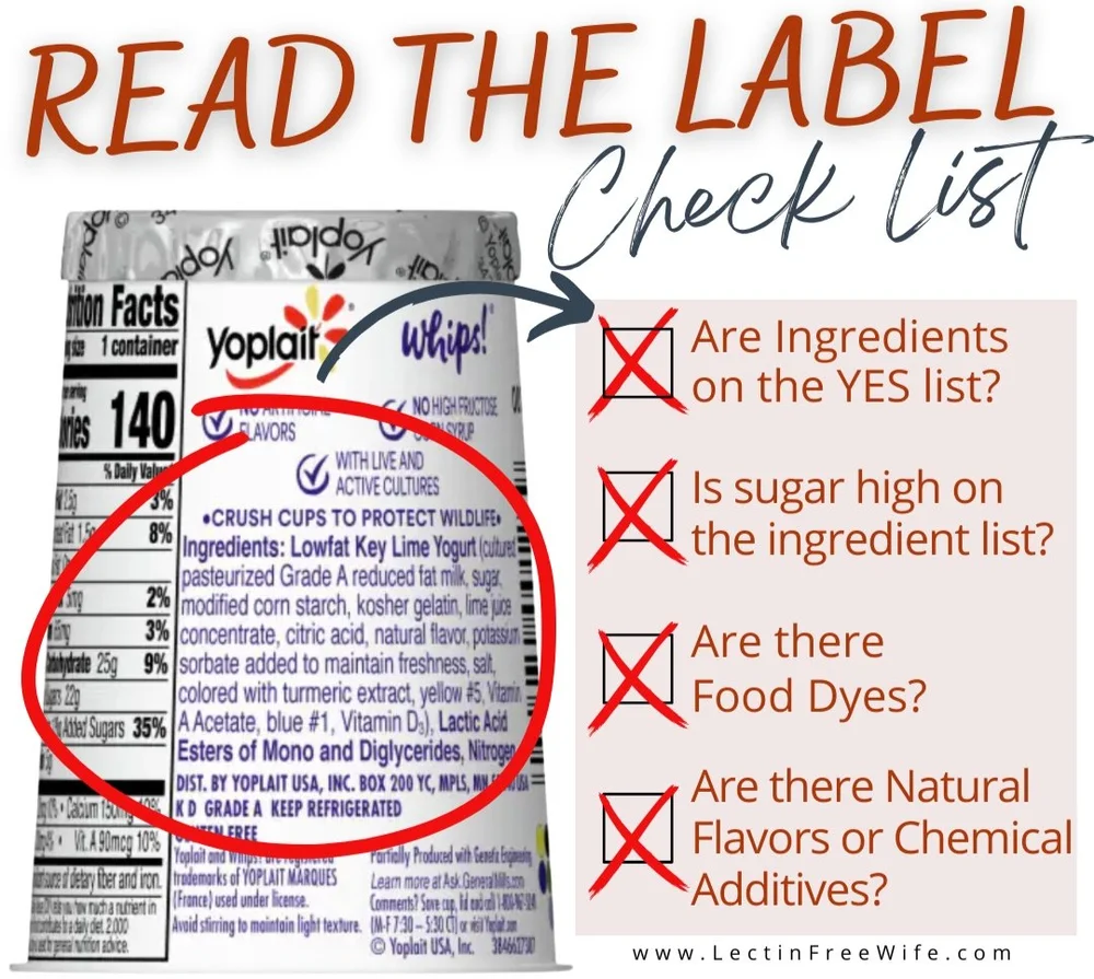 The Yogurt Conspiracy What They Don't Want You to Know. — Lectinfree