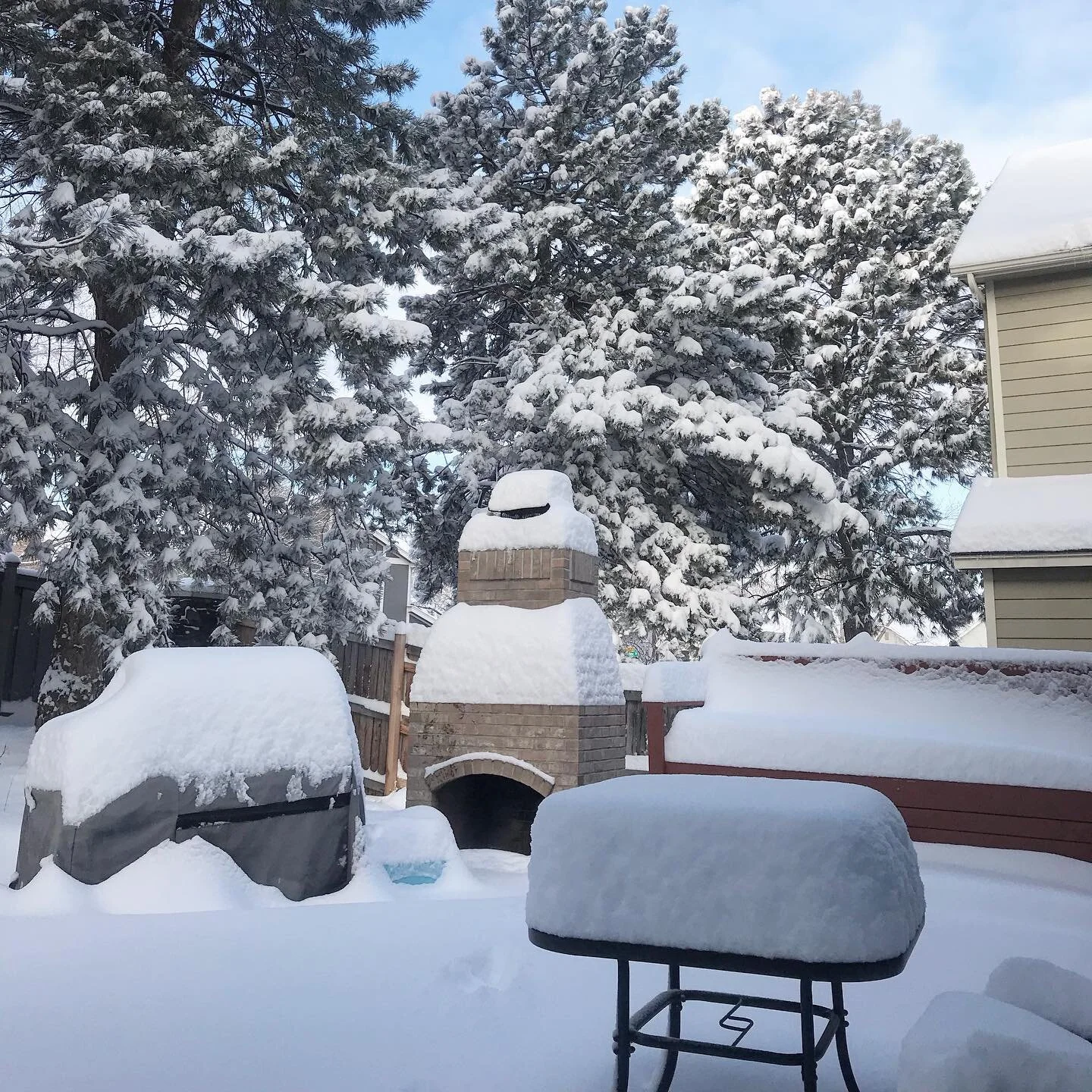 Snow. Lots of it. 7am.