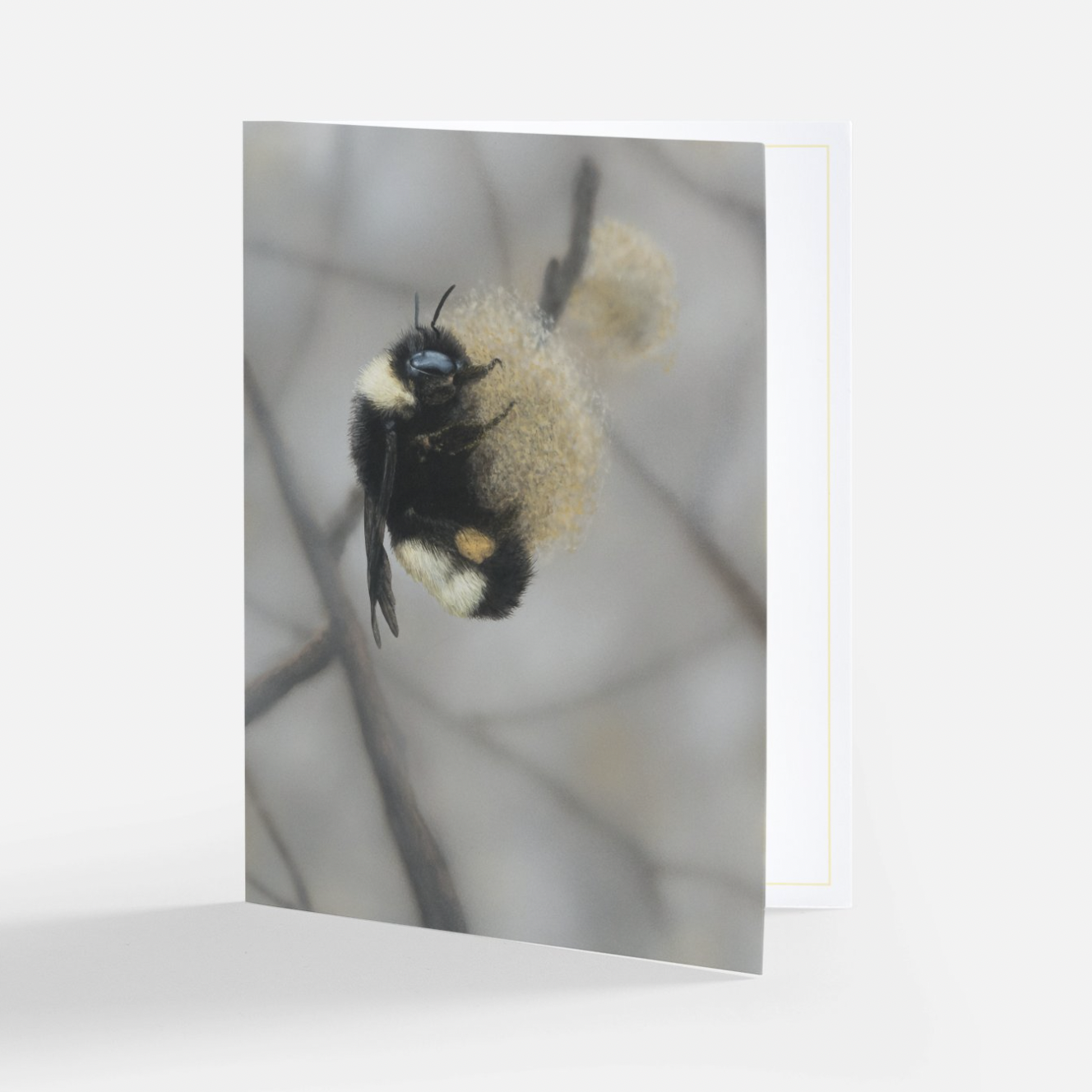 Screenshot 2024-02-26 at 7.55.01 PM.png (Copy)