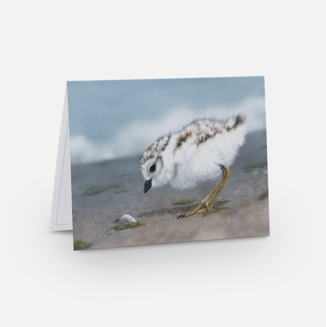 Screenshot 2024-02-27 at 12.00.20 PM.png