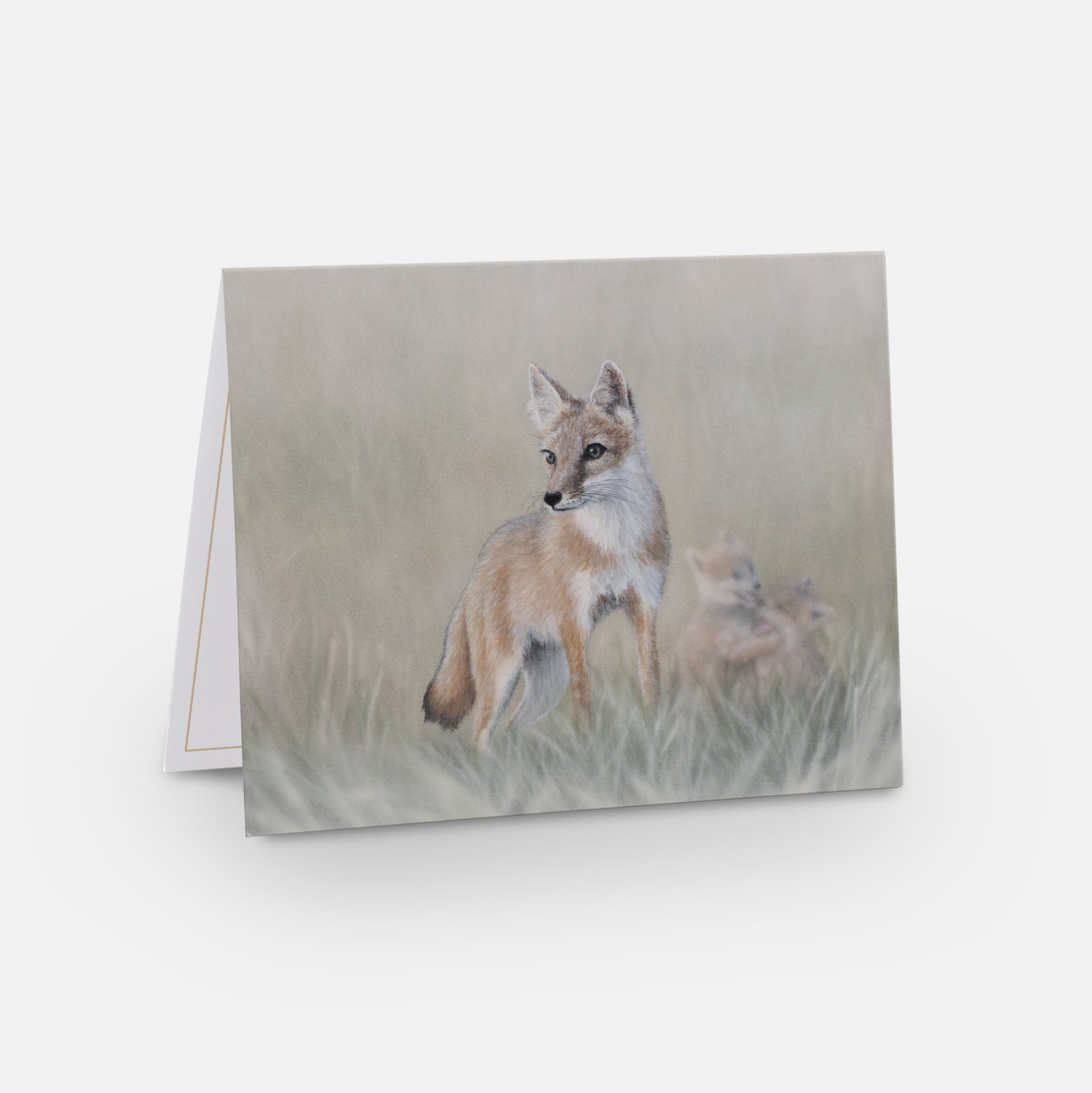 Screenshot 2024-02-27 at 12.04.43 PM.png