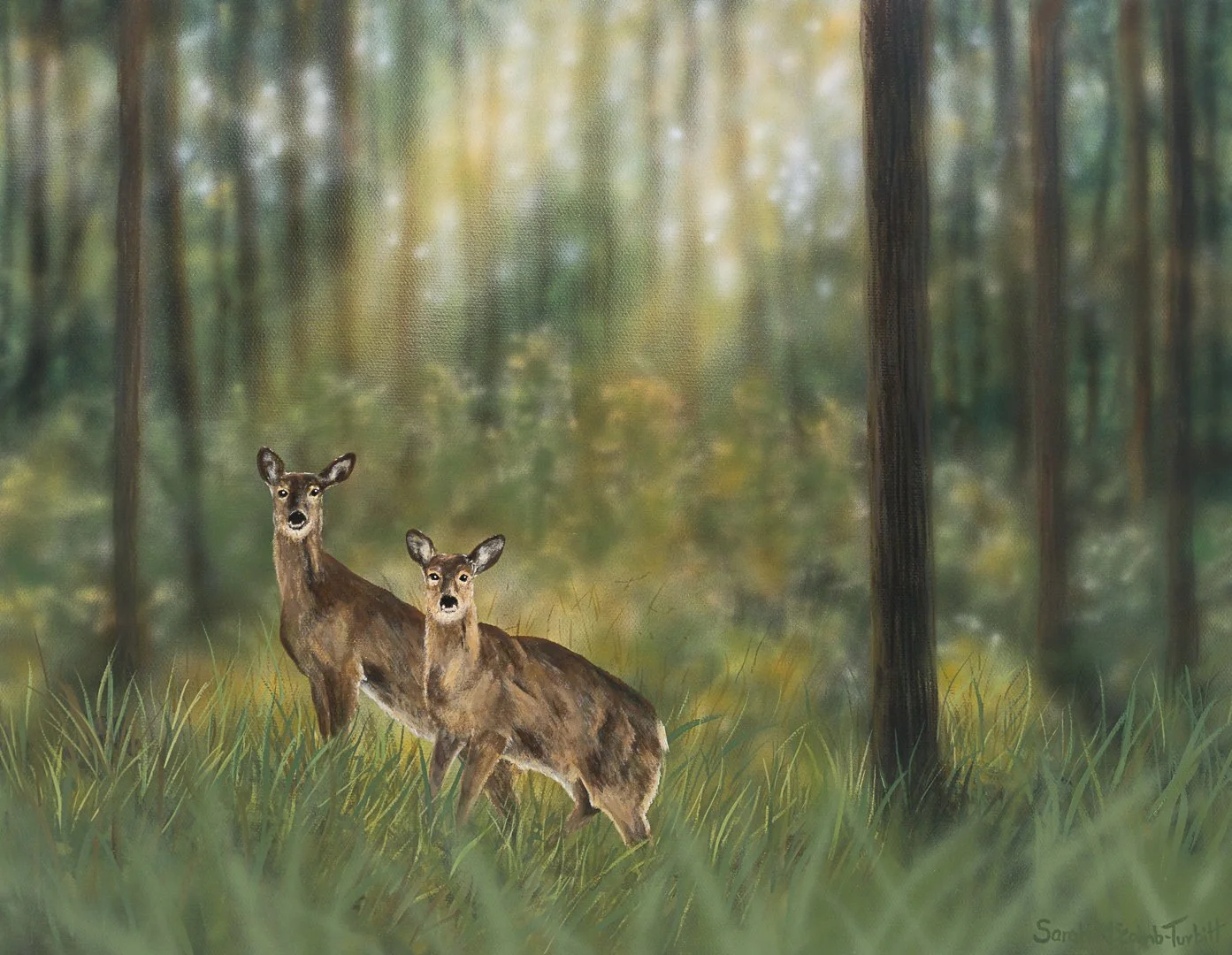 2610_OSFN_deer_SarahMcCombTurbitt_web.jpg