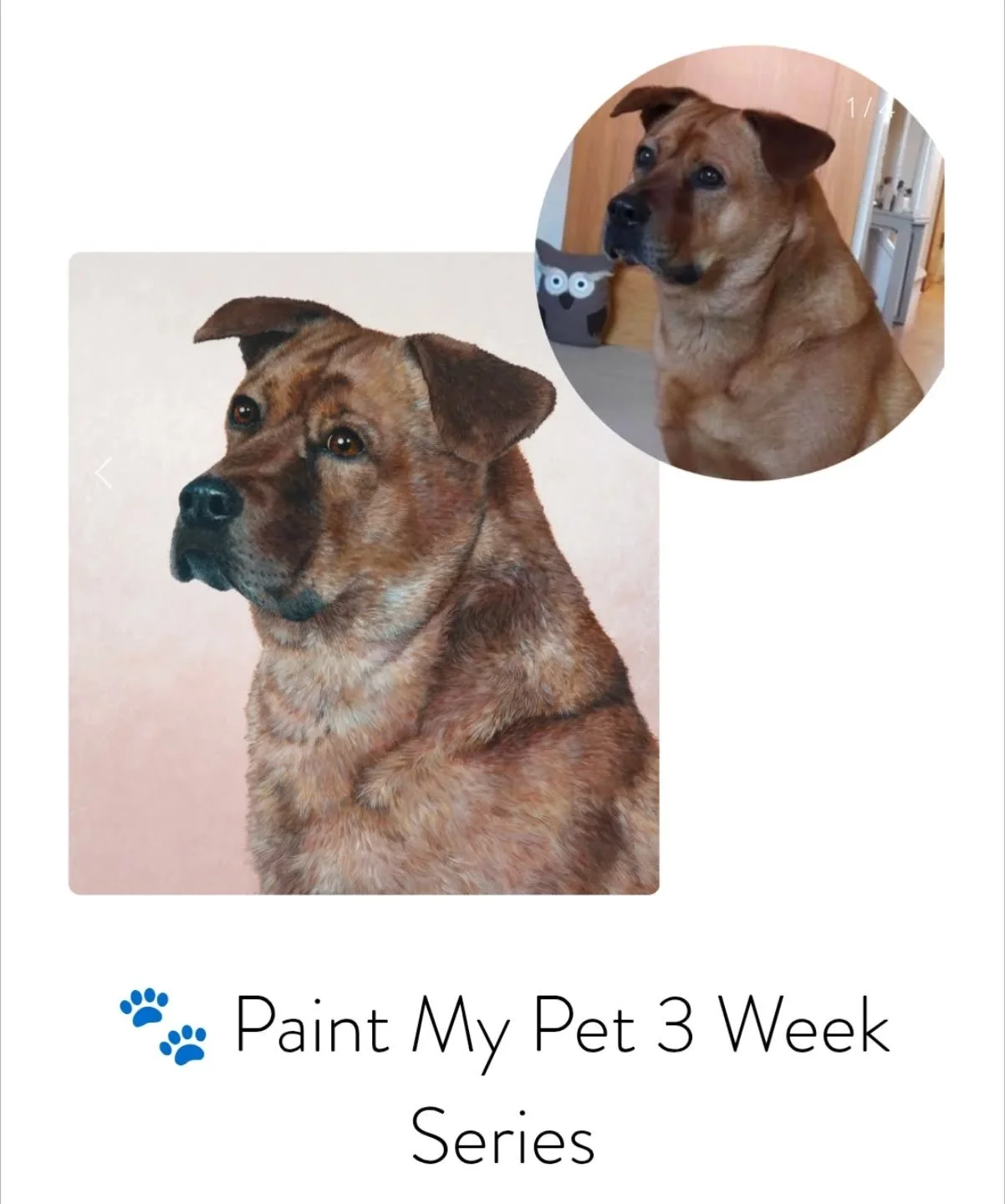 New fall classes are on my site!! Like this super fun evening series where we go through all the steps to create an animal portrait 🎊
 
🐾 Paint My Pet 3 Week Series

Tuesday October 14, 21, &amp; 28 
6:30 PM to 9:00 PM

Bring your furry friend to l