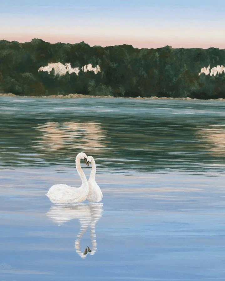 You are my swan &amp; only &hearts;️