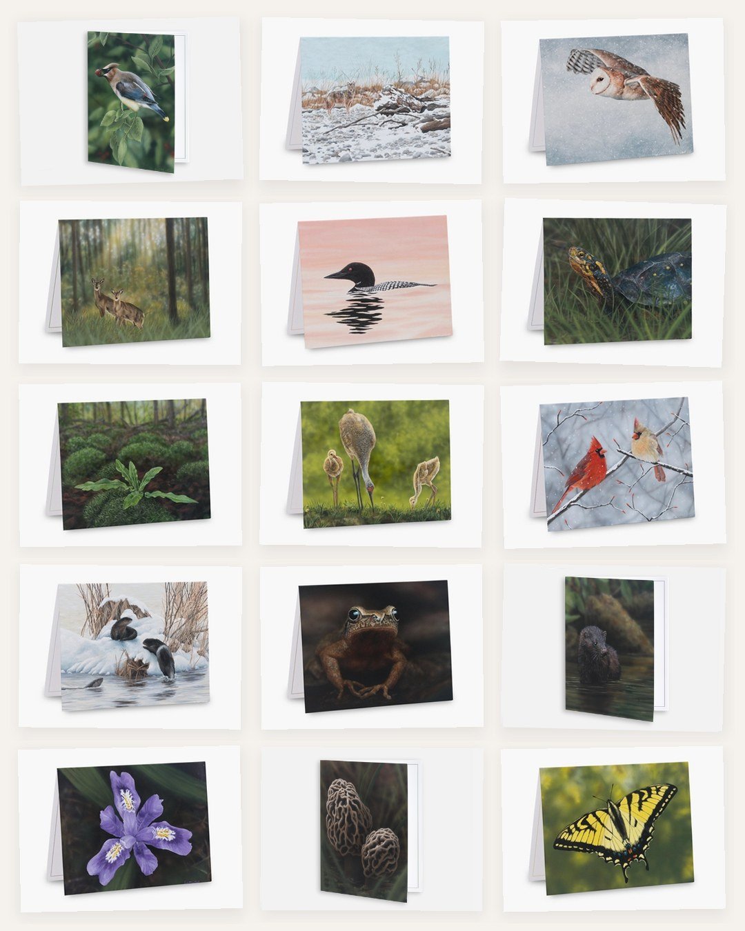 🌱 The OSFN Collection 15 Card Bundle! 🌿 

To celebrate Ontario&rsquo;s backyard wildlife, I joined forces with the Owen Sound Field Naturalists (OSFN) for a special challenge: painting as many local species as I could throughout March 2026! Part of