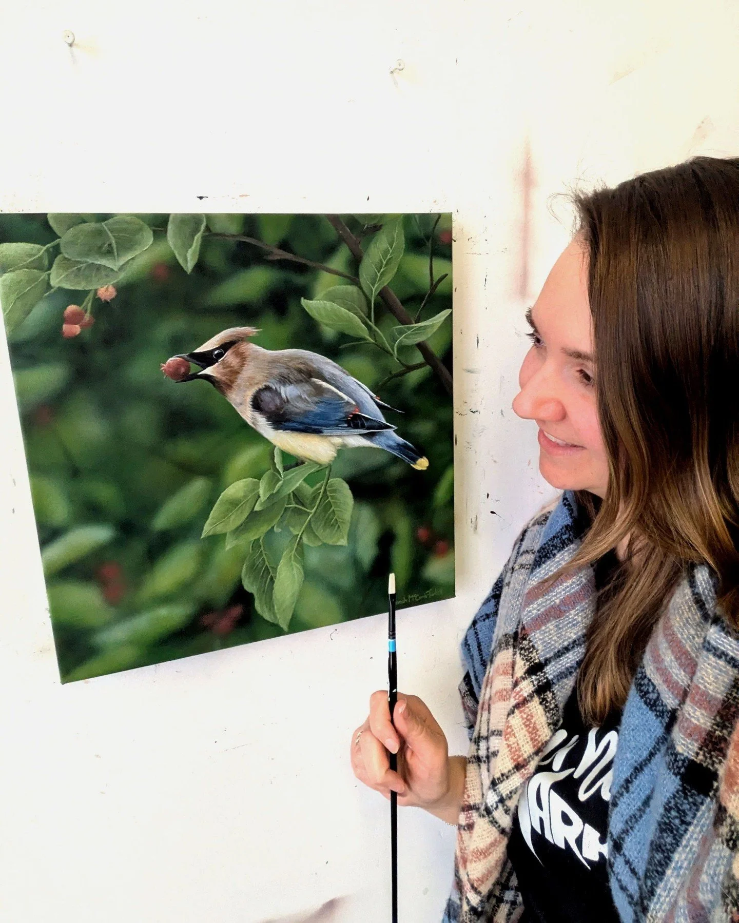 &lsquo;The Connoisseur&rsquo; - OSFN Collection #13 - 14"x14" Acrylic on Canvas

The Cedar Waxwing (Bombycilla cedrorum) is one of Ontario's most elegantly beautiful and socially sophisticated birds, with its sleek, silky plumage, bold blac