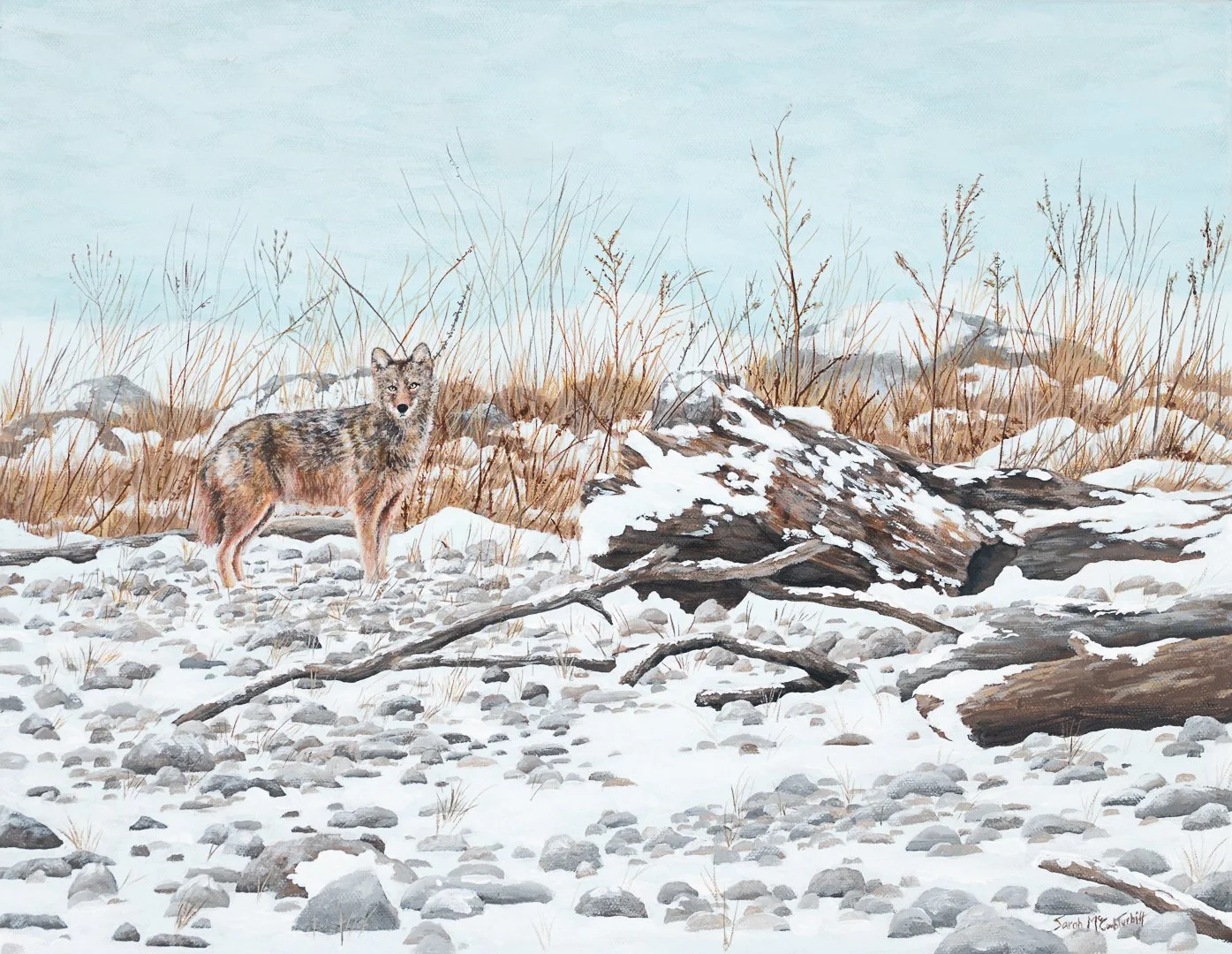 Snow on the Beach