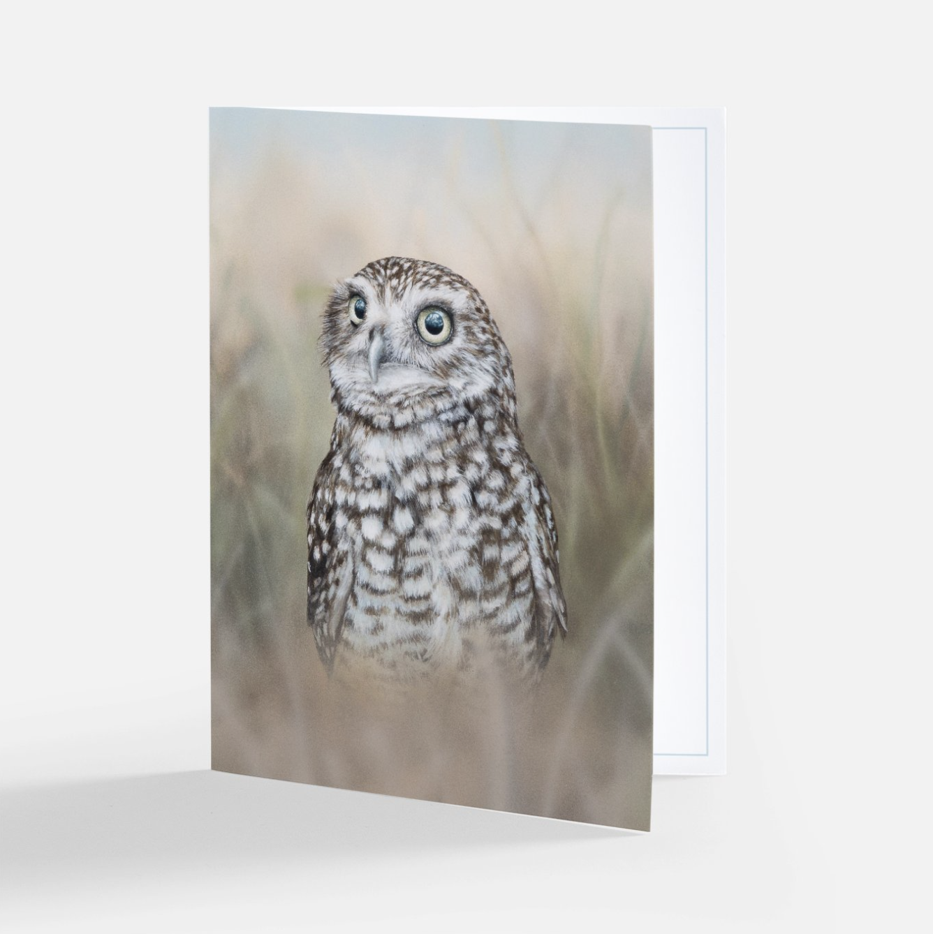 Screenshot 2024-02-27 at 10.24.13 AM.png