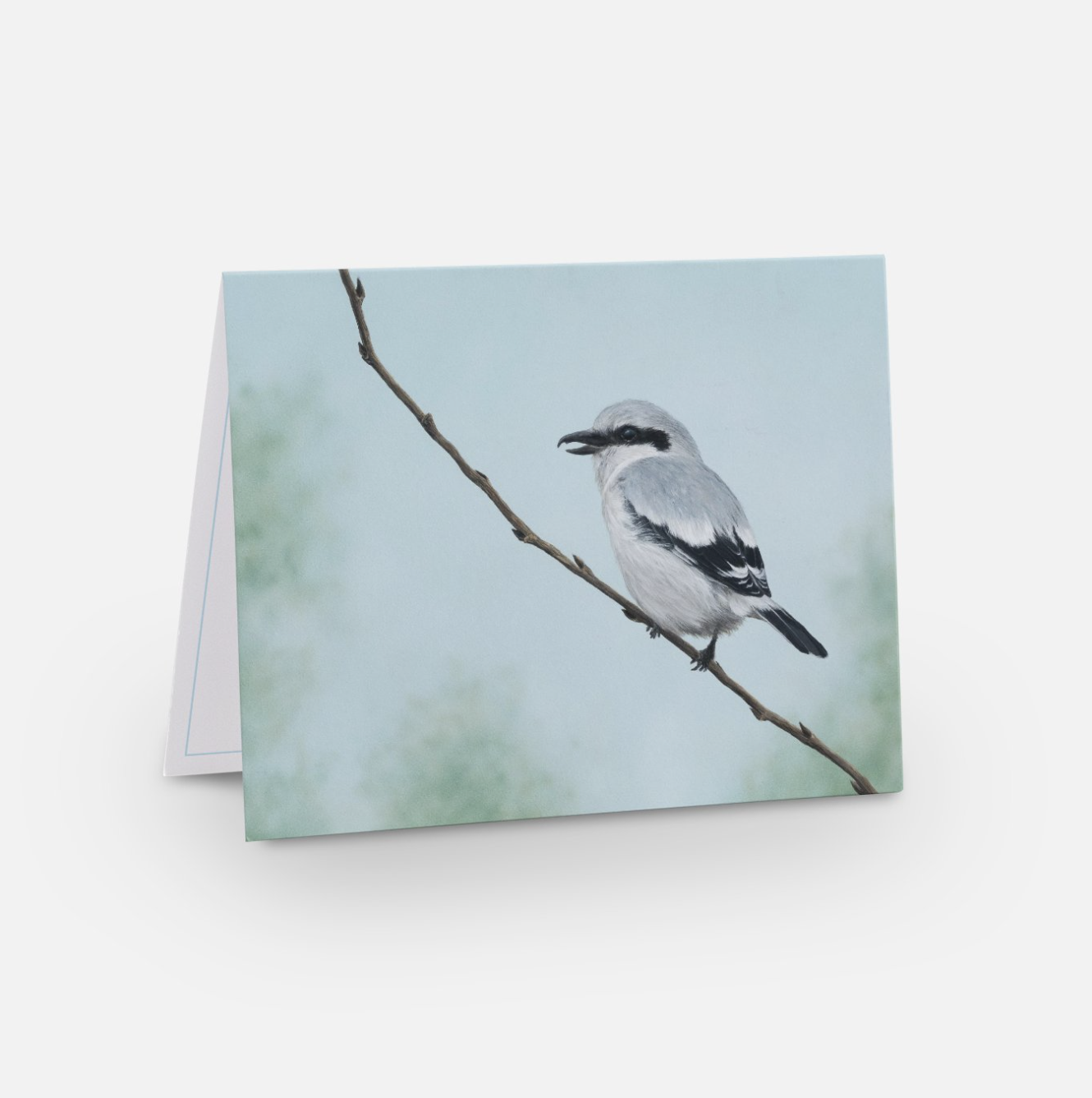 Screenshot 2024-02-27 at 11.40.05 AM.png