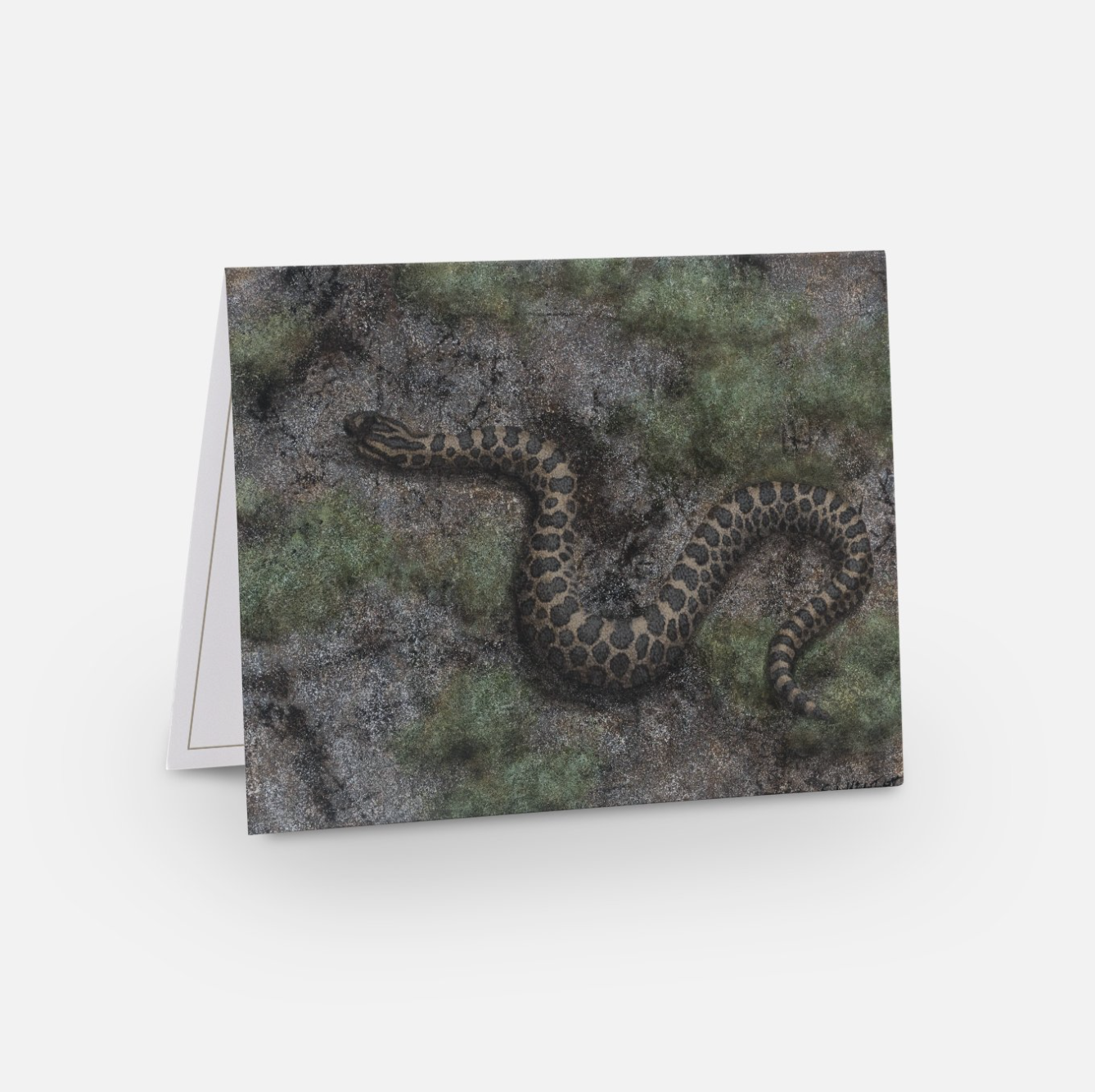 Screenshot 2024-02-27 at 11.43.50 AM.png