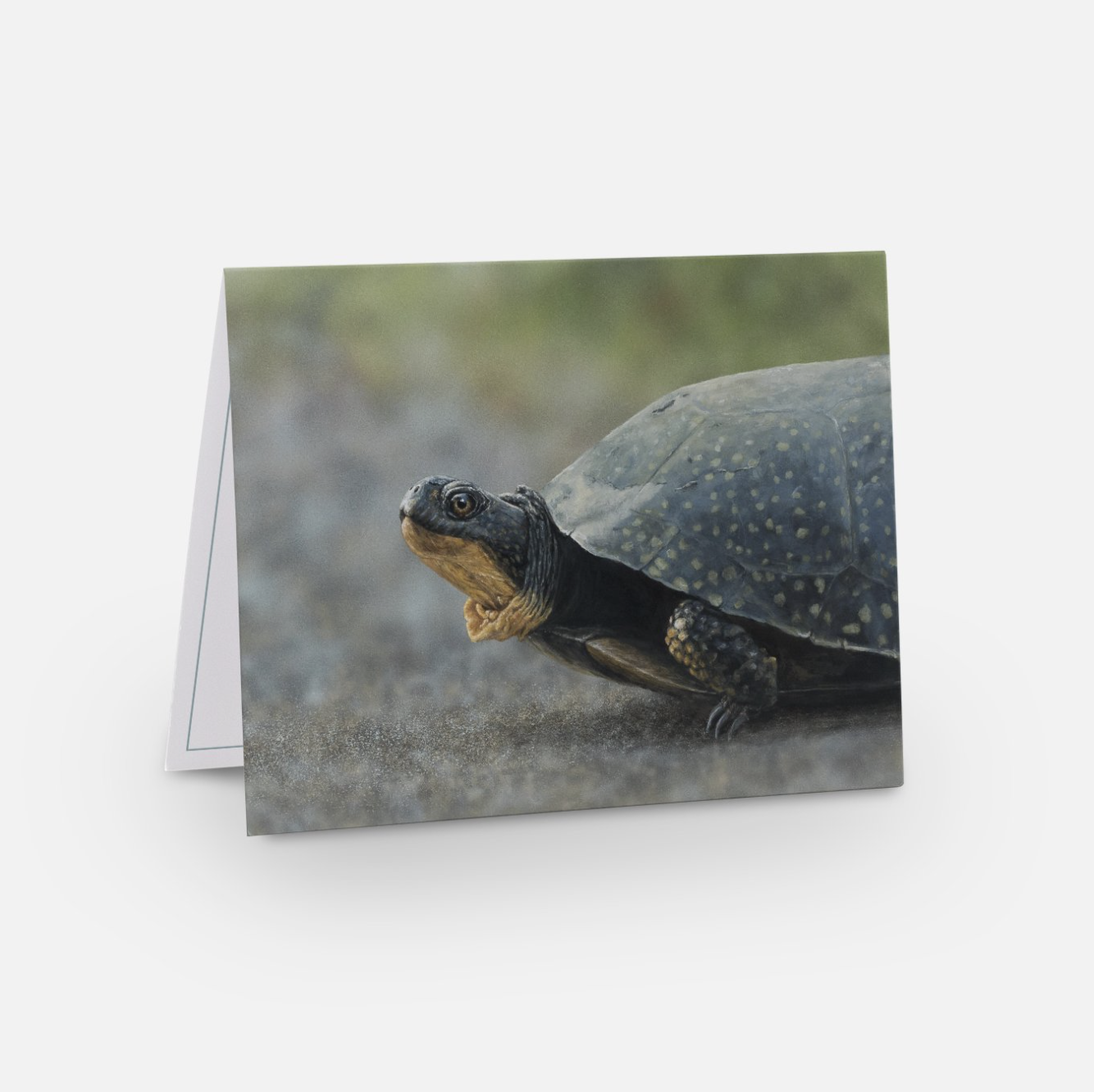 Screenshot 2024-02-27 at 11.09.24 AM.png