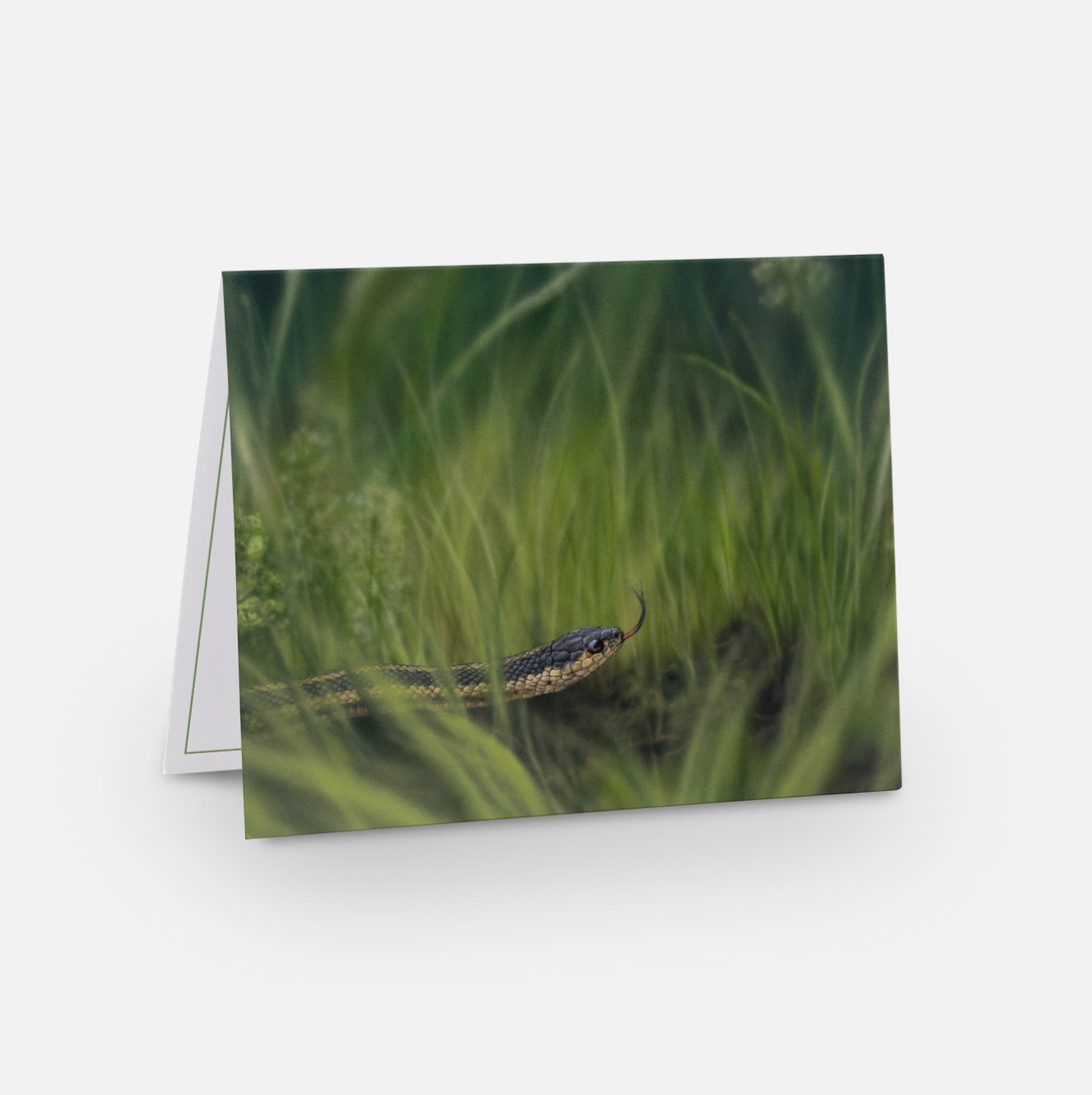 Screenshot 2024-02-27 at 11.04.49 AM.png