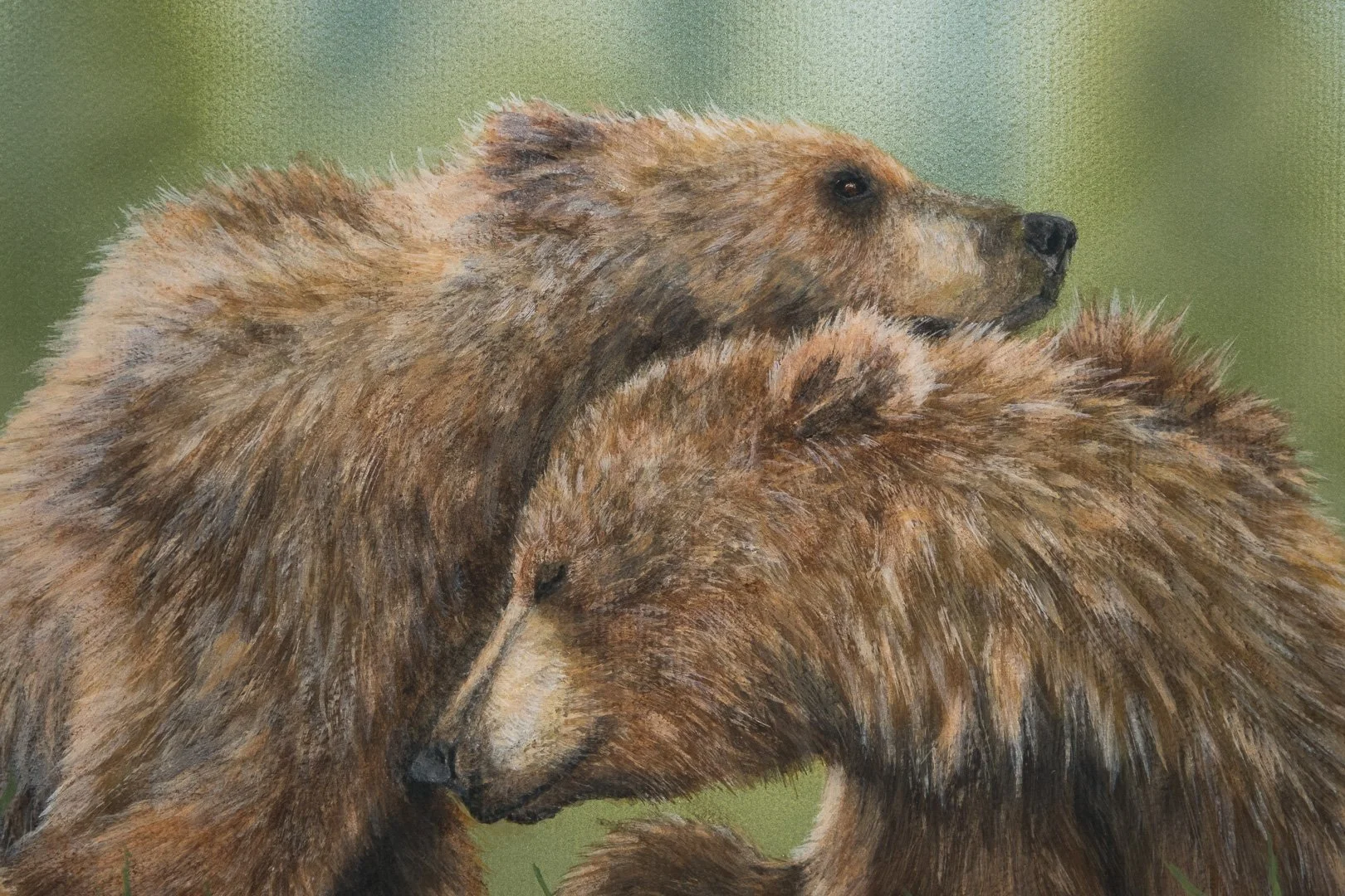 bearhug-web-00237.jpg