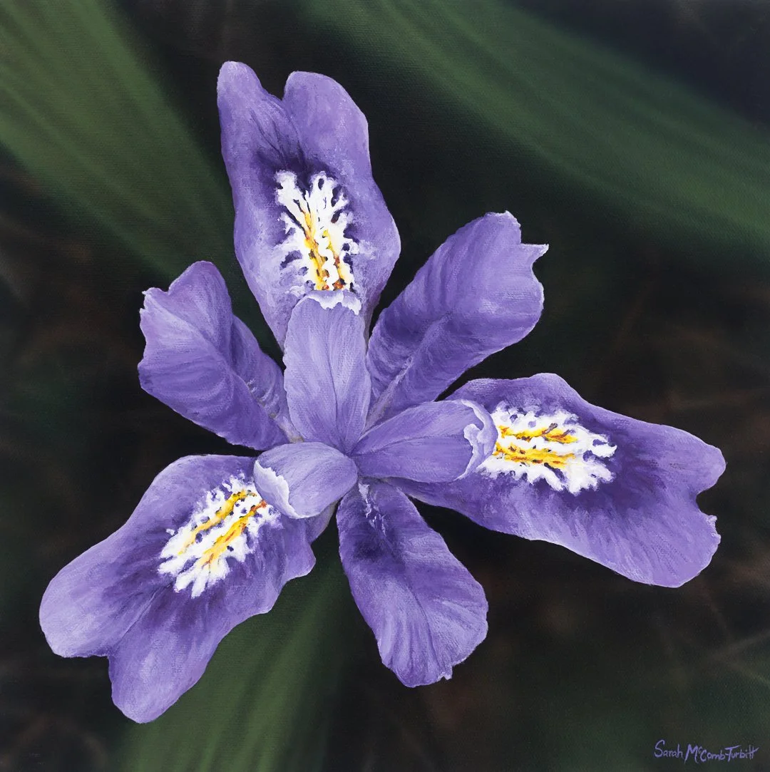 Peninsula Purple
