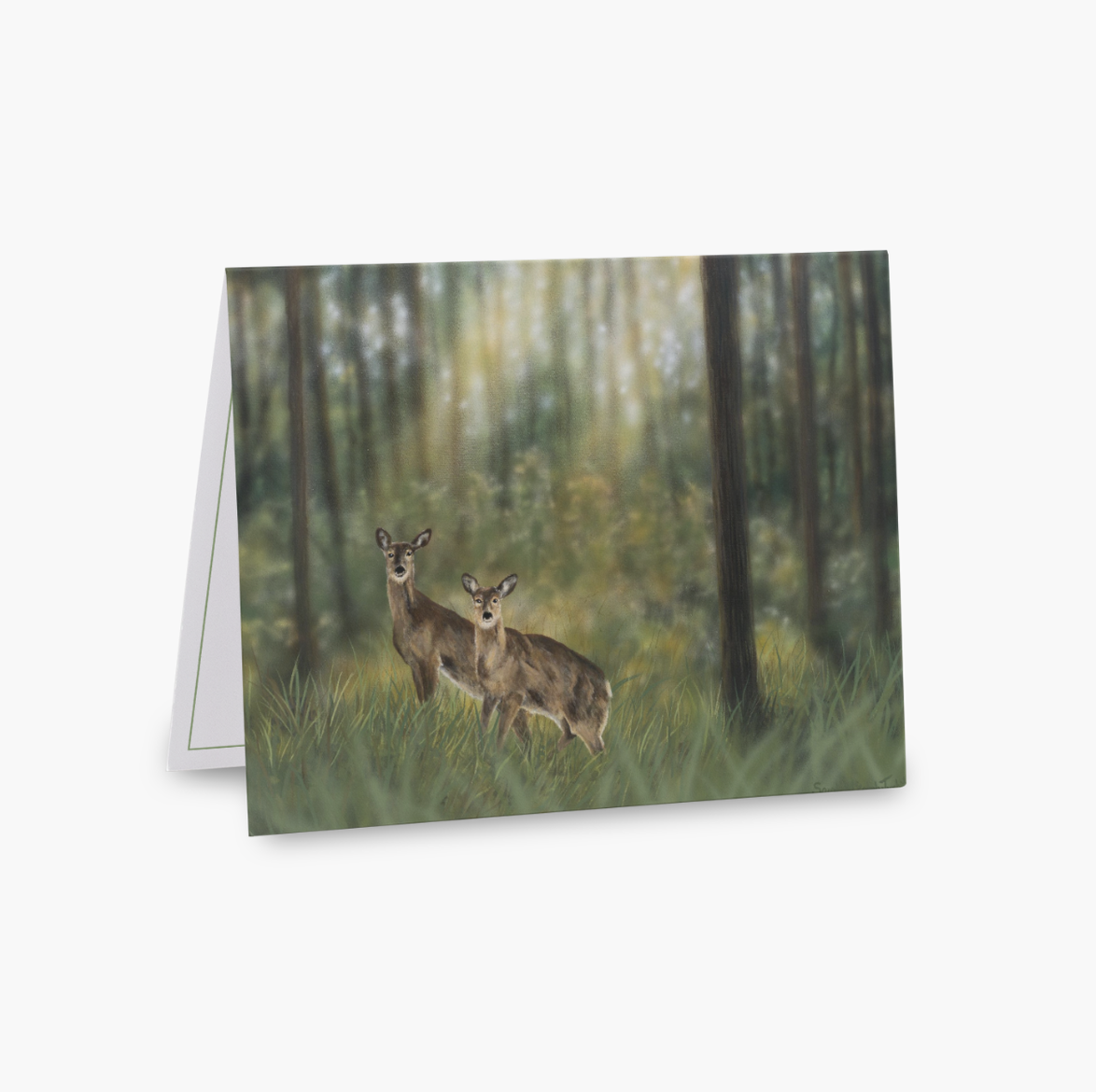 🌱 OSFN Cards