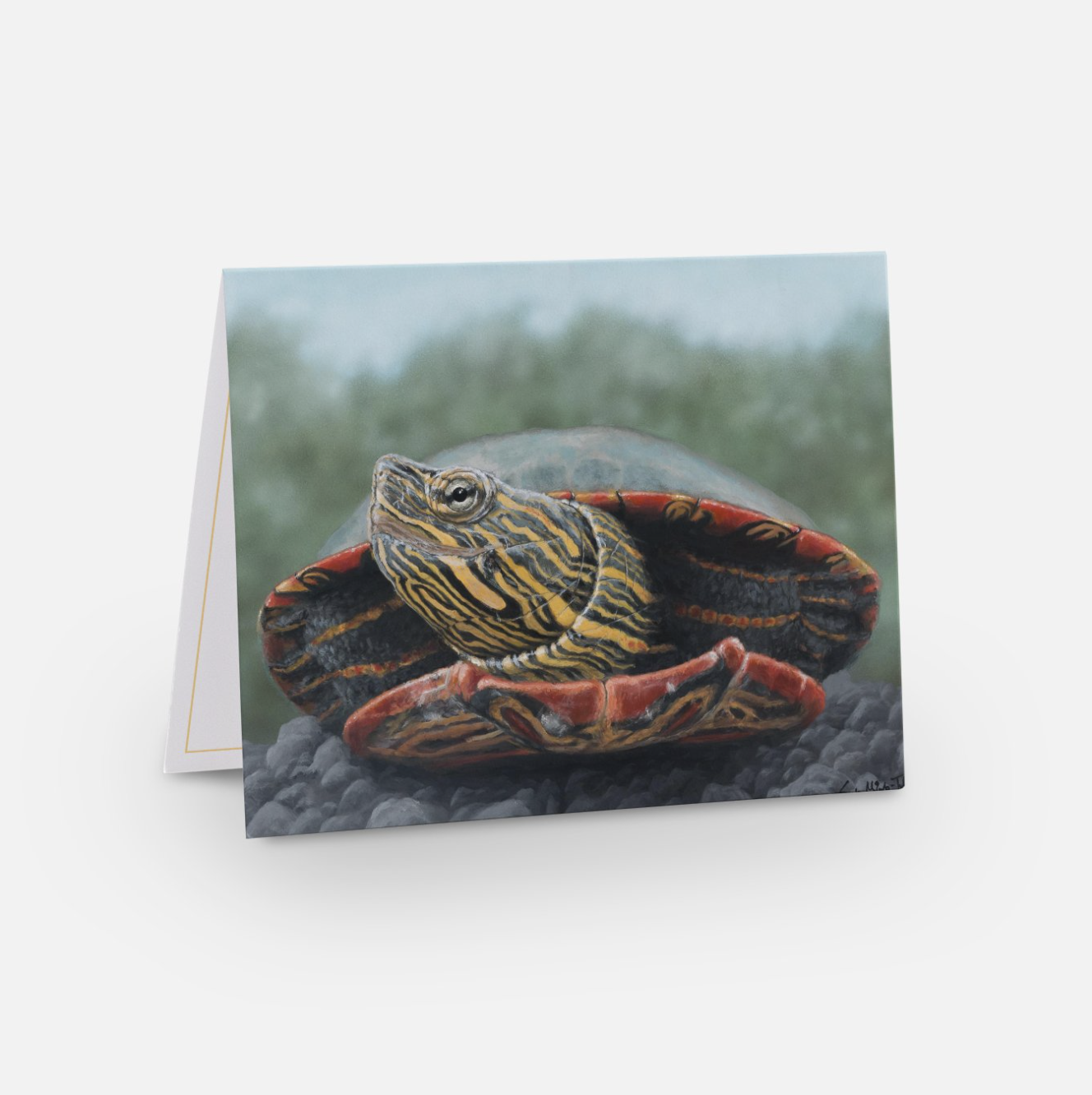 Screenshot 2024-02-27 at 11.33.18 AM.png (Copy)