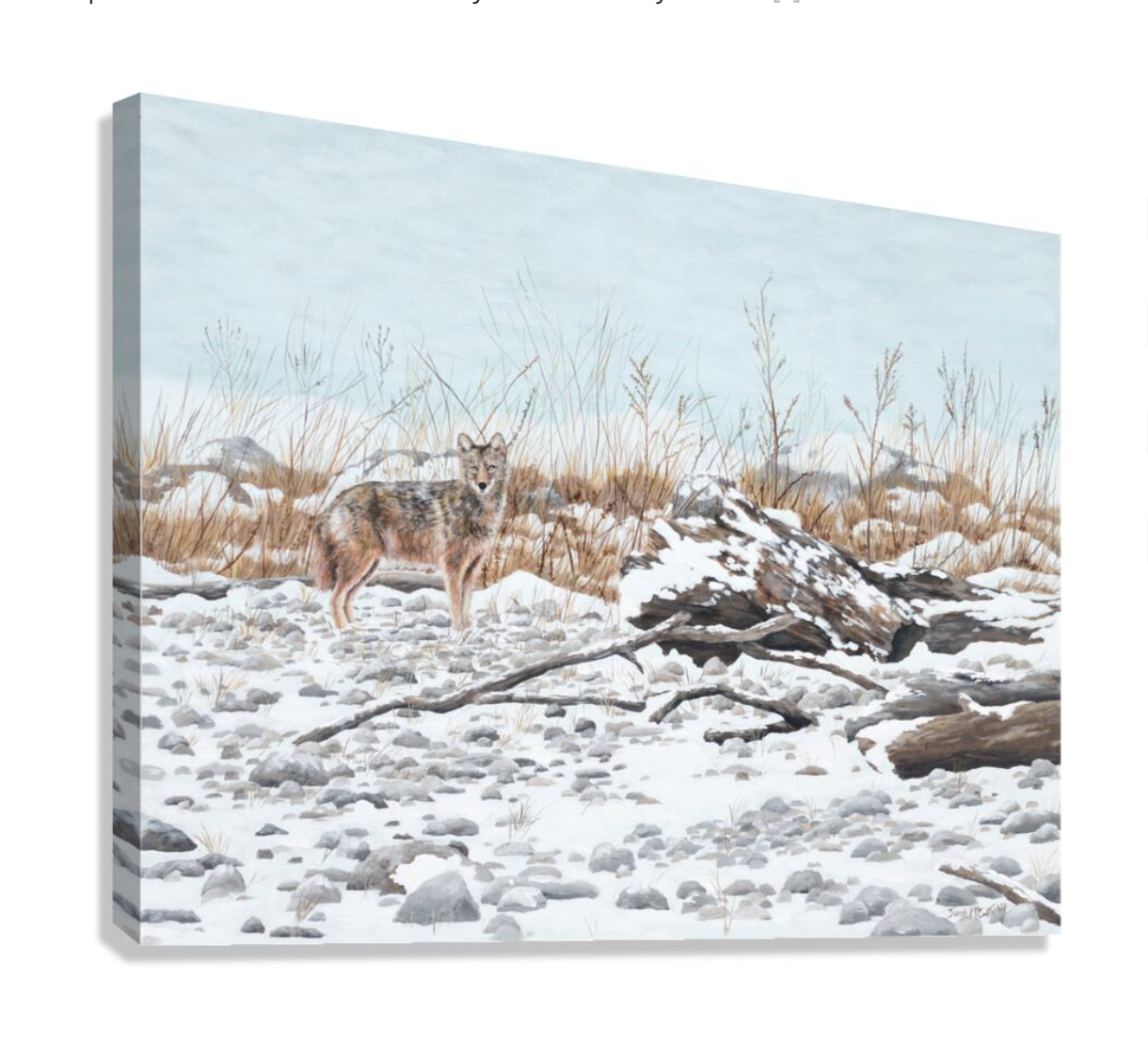 Snow on the Beach