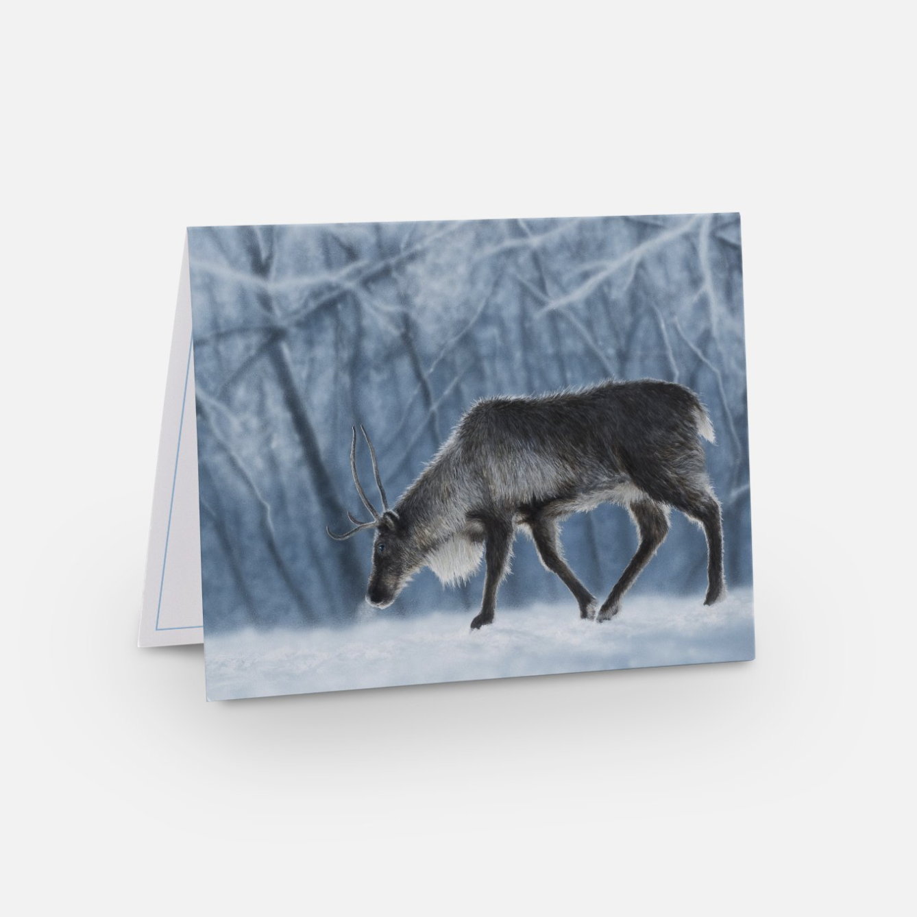 Screenshot 2024-02-27 at 11.48.55 AM.png