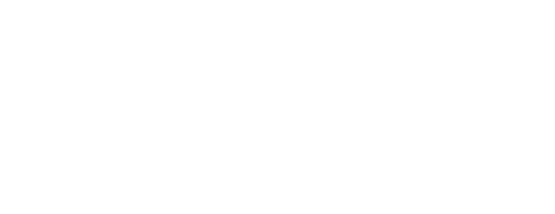 Southern Studies Fellowship