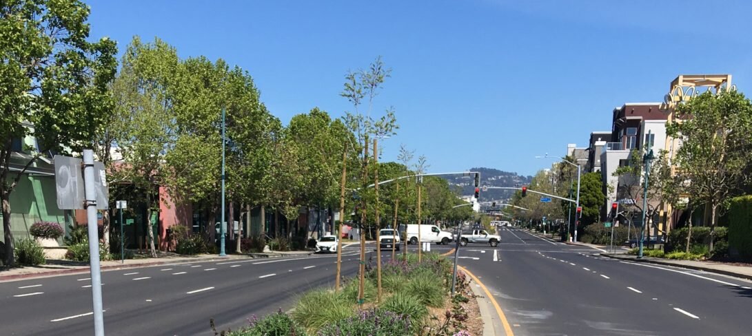 40th St. Median Island Landscaping Rehabilitation