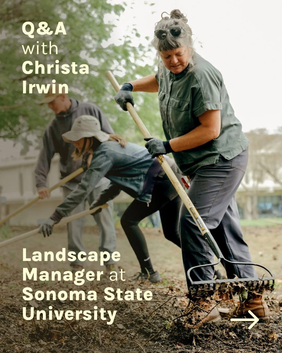 We sat down with Christa Irwin, landscape manager at @sonomastateuniversity, to talk about our May 2025 partnership. Together, we brought regenerative landscape training to campus&mdash;students and maintenance staff worked side-by-side in the native