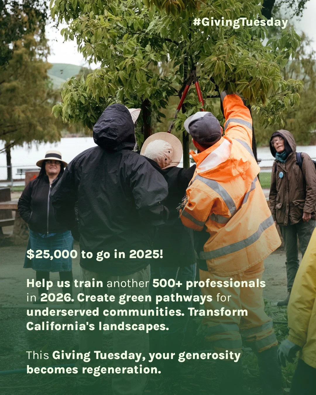 Every landscape tells a story. What will yours be?⁠
This Giving Tuesday, we're writing a new chapter&mdash;one where communities thrive, ecosystems heal, and green careers flourish.⁠
⁠
With $25,000 left to raise, we're so close to making regenerative