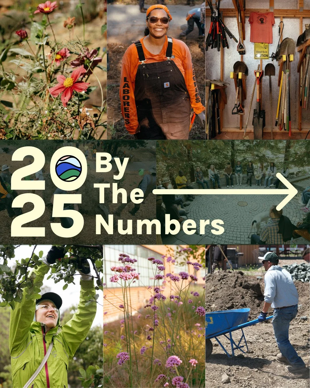 2025 By the Numbers: This year, 516 professionals joined our trainings. 419 ReScape Qualified Professionals are now regenerating California landscapes. We reached 17,000+ people monthly and earned international recognition from Slovenia to Phoenix.⁠
