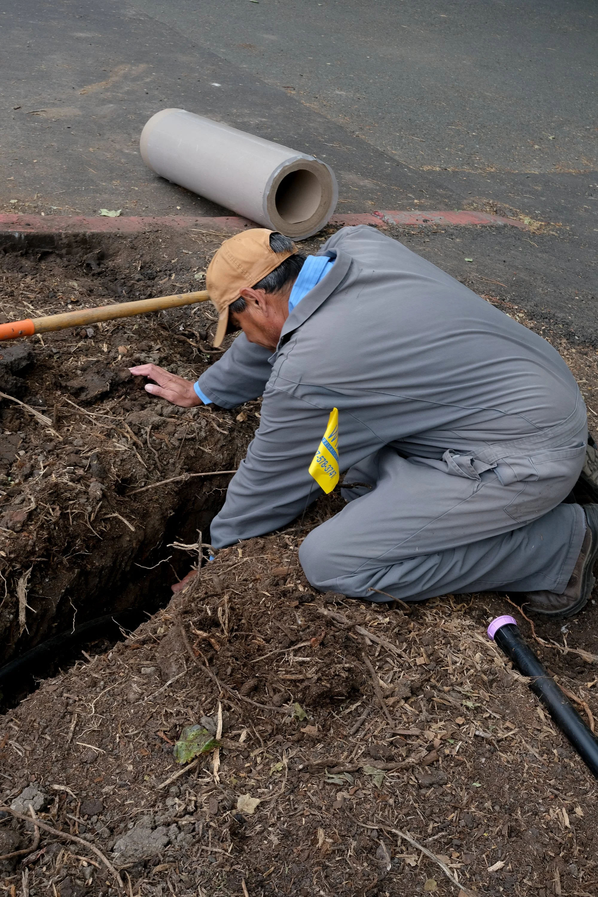 ReScape 05-07-25 - Sonoma State University_-006.jpg