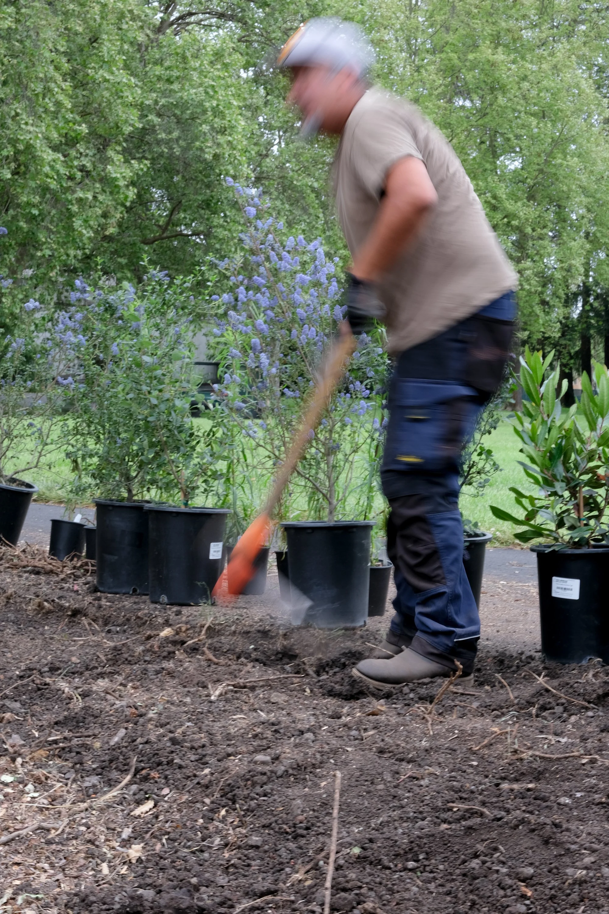 ReScape 05-07-25 - Sonoma State University_-014.jpg