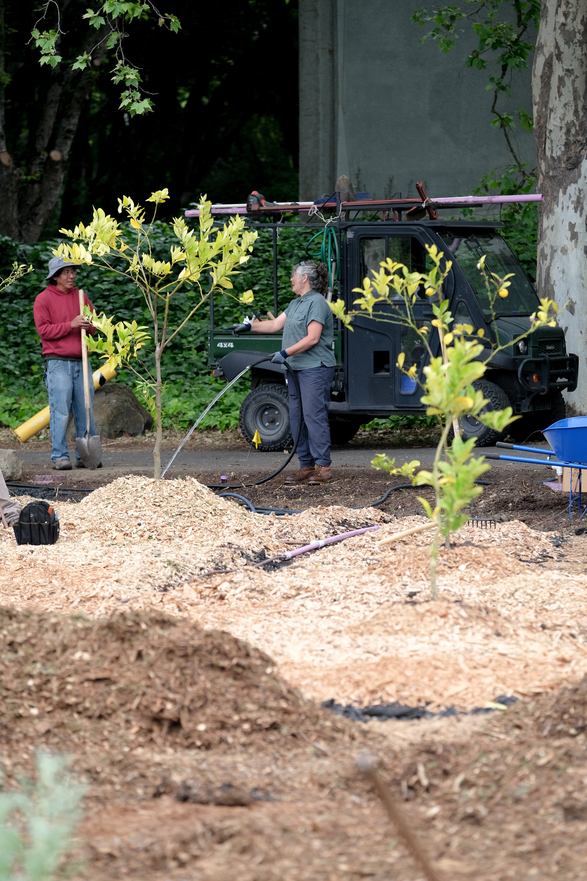 ReScape 05-07-25 - Sonoma State University_-017.jpg