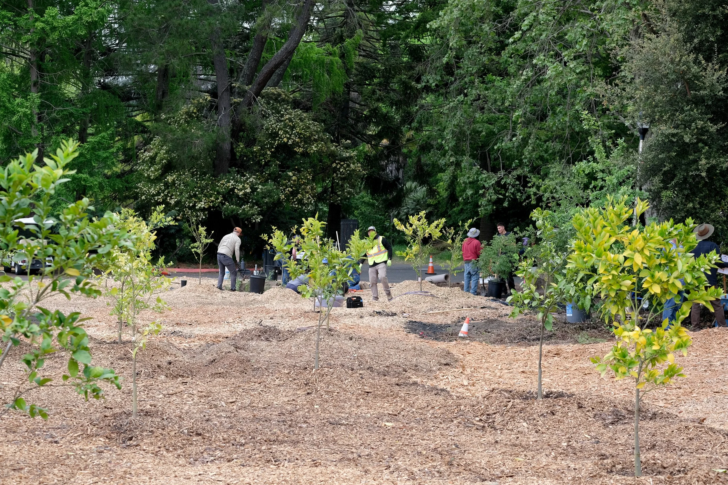 ReScape 05-07-25 - Sonoma State University_-018.jpg