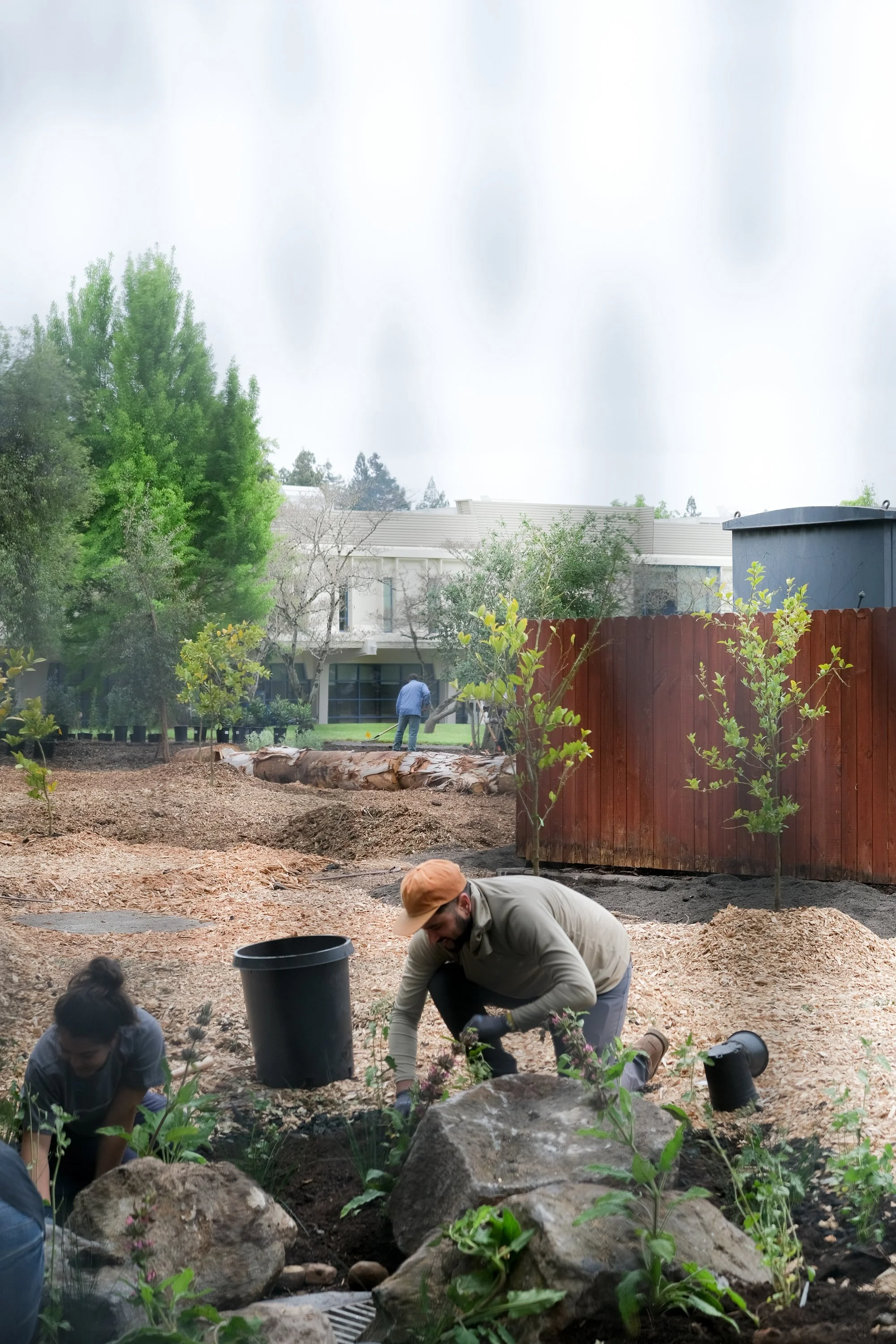 ReScape 05-07-25 - Sonoma State University_-035_UPDATE.jpg