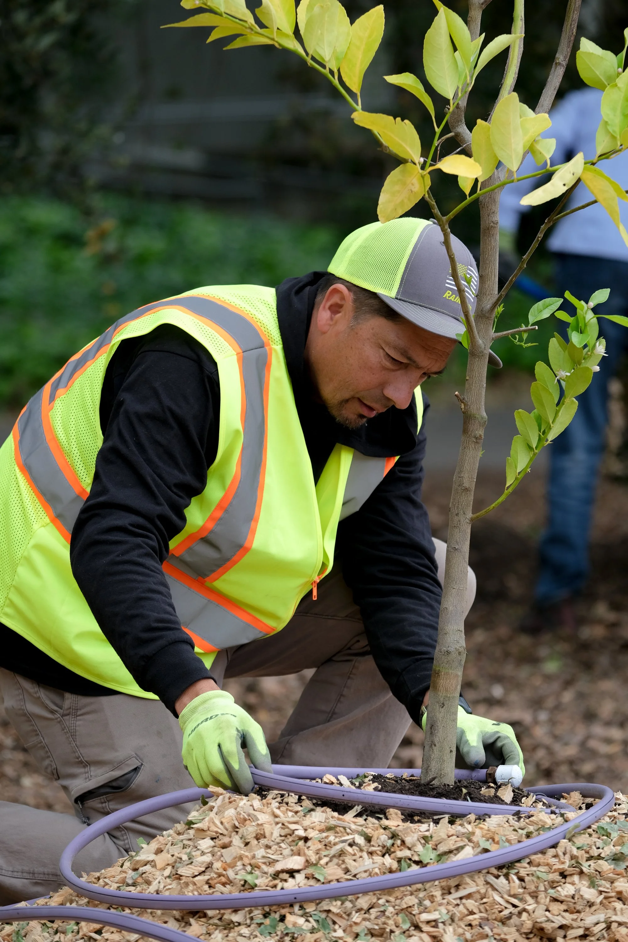 ReScape 05-07-25 - Sonoma State University_-041.jpg