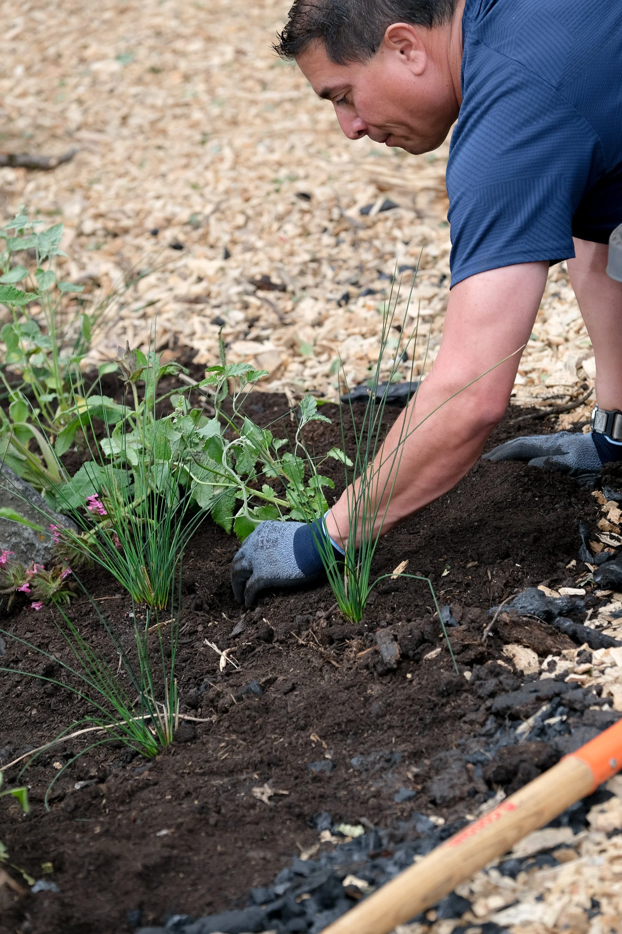 ReScape 05-07-25 - Sonoma State University_-046.jpg