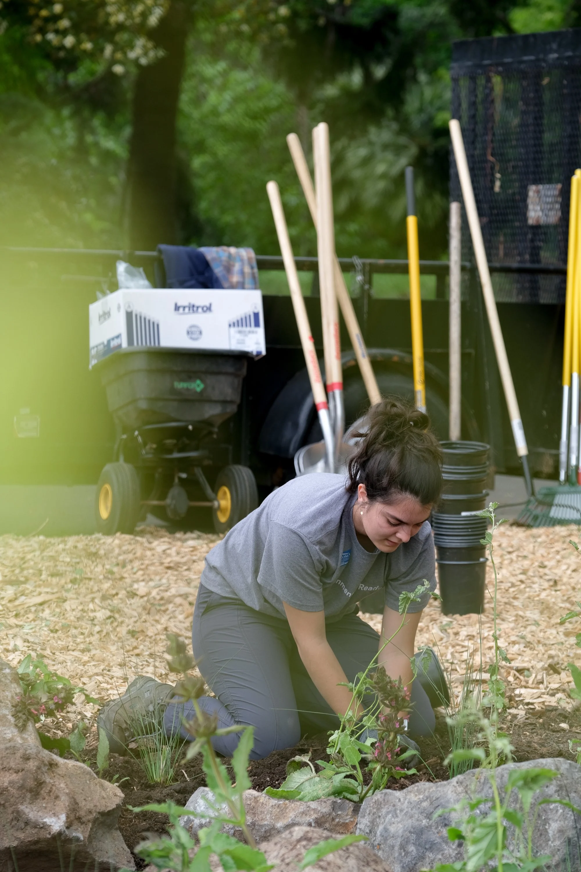 ReScape 05-07-25 - Sonoma State University_-048.jpg