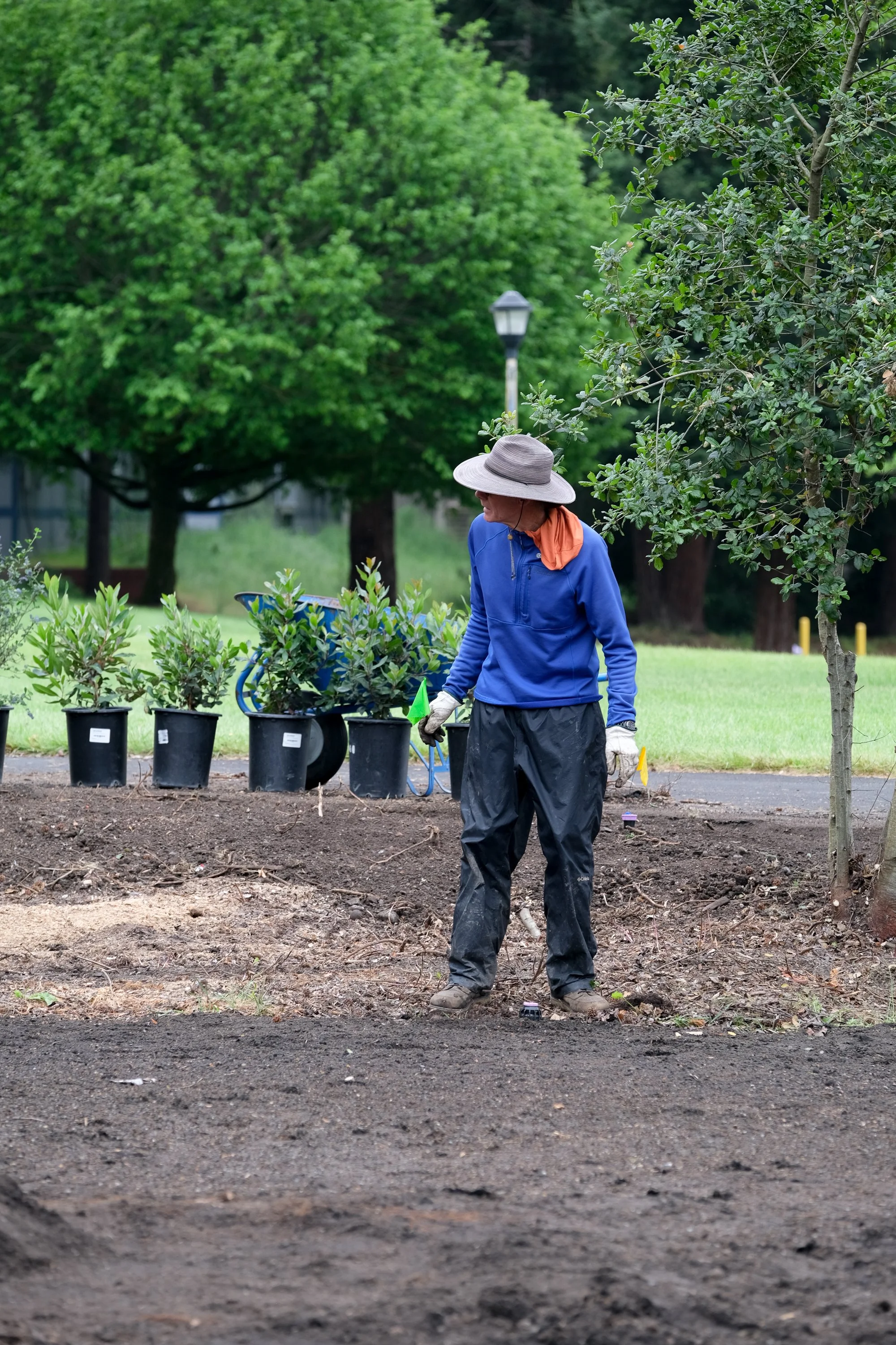 ReScape 05-07-25 - Sonoma State University_-061.jpg