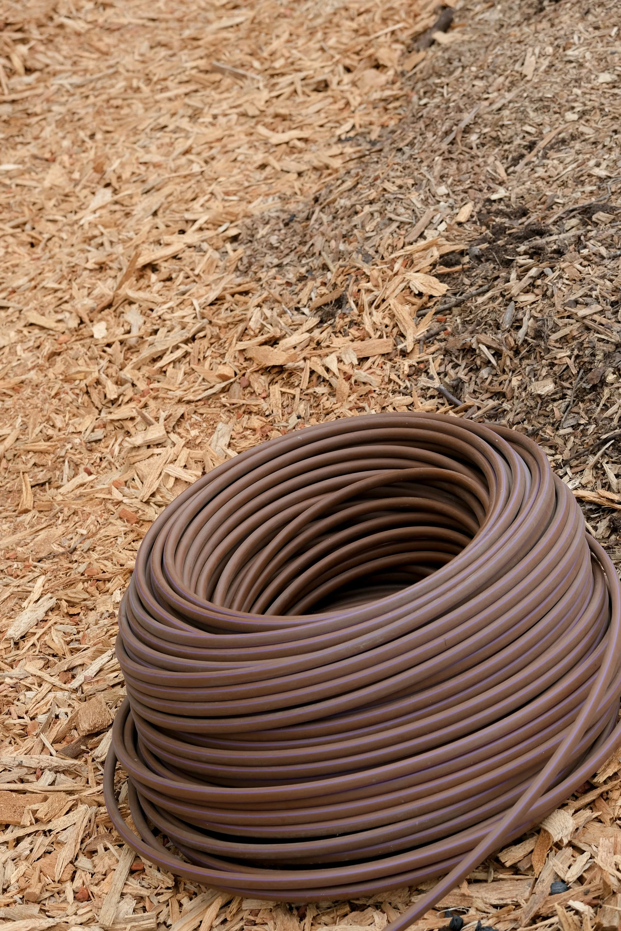 ReScape 05-07-25 - Sonoma State University_-077.jpg